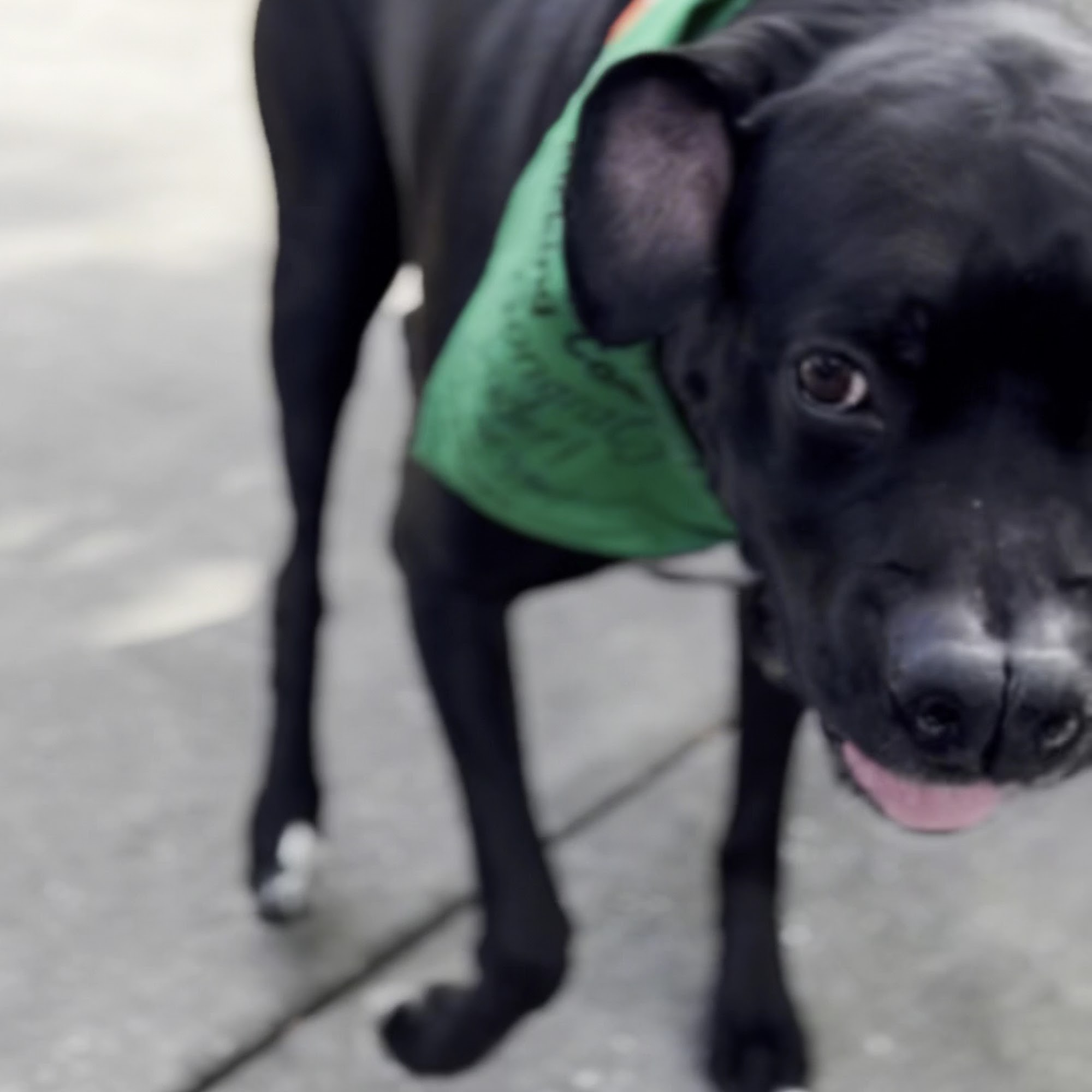 Tampa Bay Veterinary Specialists & Emergency Care Center Largo