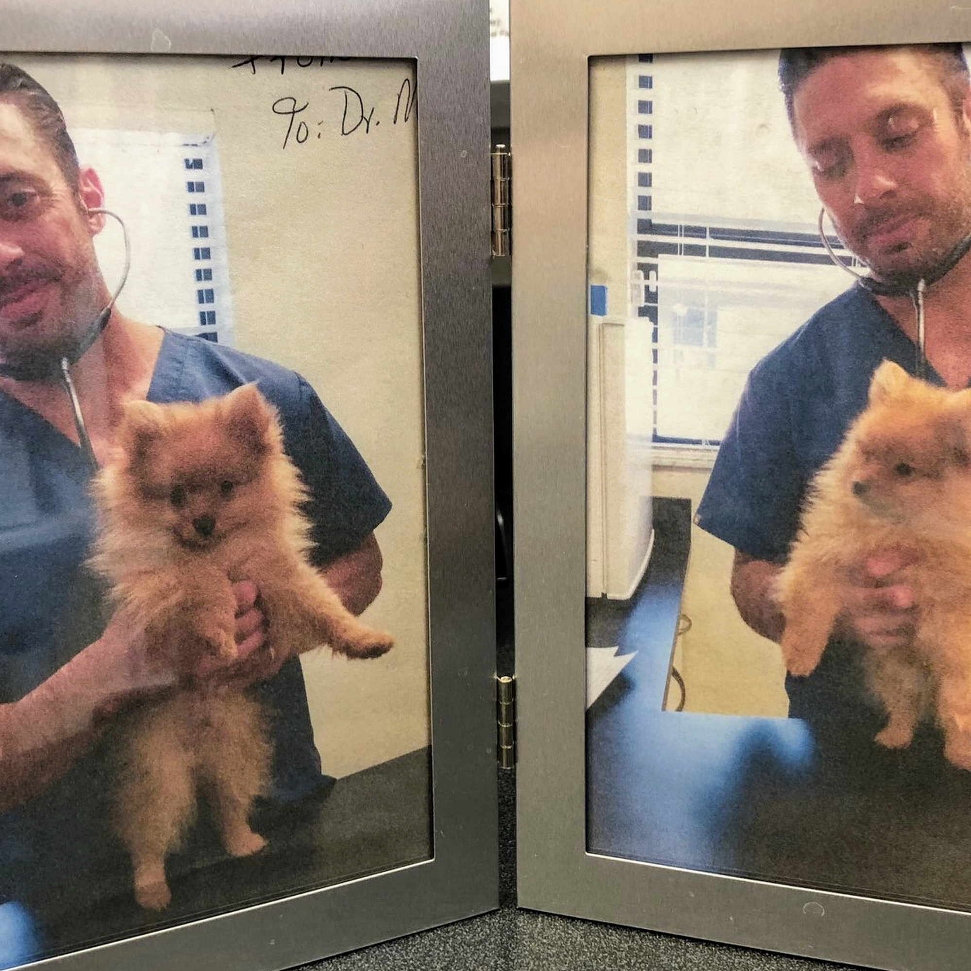 Indian Rocks Beach Animal Hospital Largo