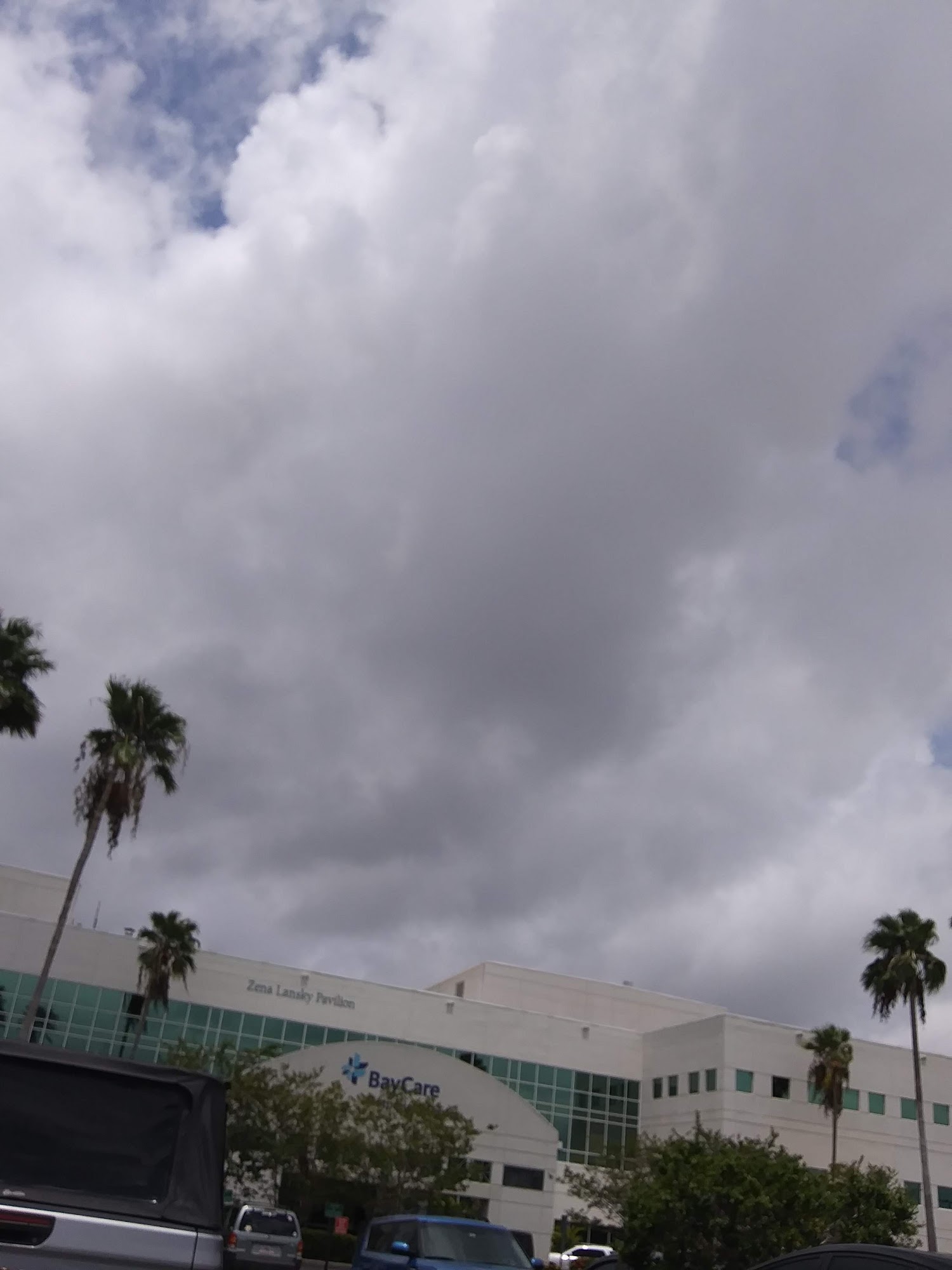 baycare-outpatient-imaging-bardmoor-largo-fl-hours-directions