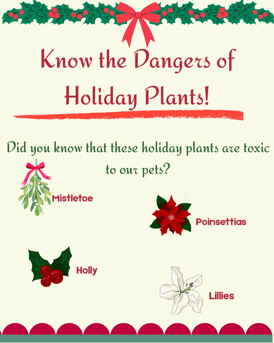 Operation:SNIP Spay Neuter Clinic Operation:SNIP Wellness Center Largo