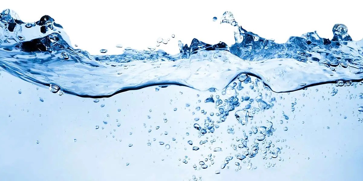 Beatriz Corp 12350 S Belcher Rd, Largo Florida 33773