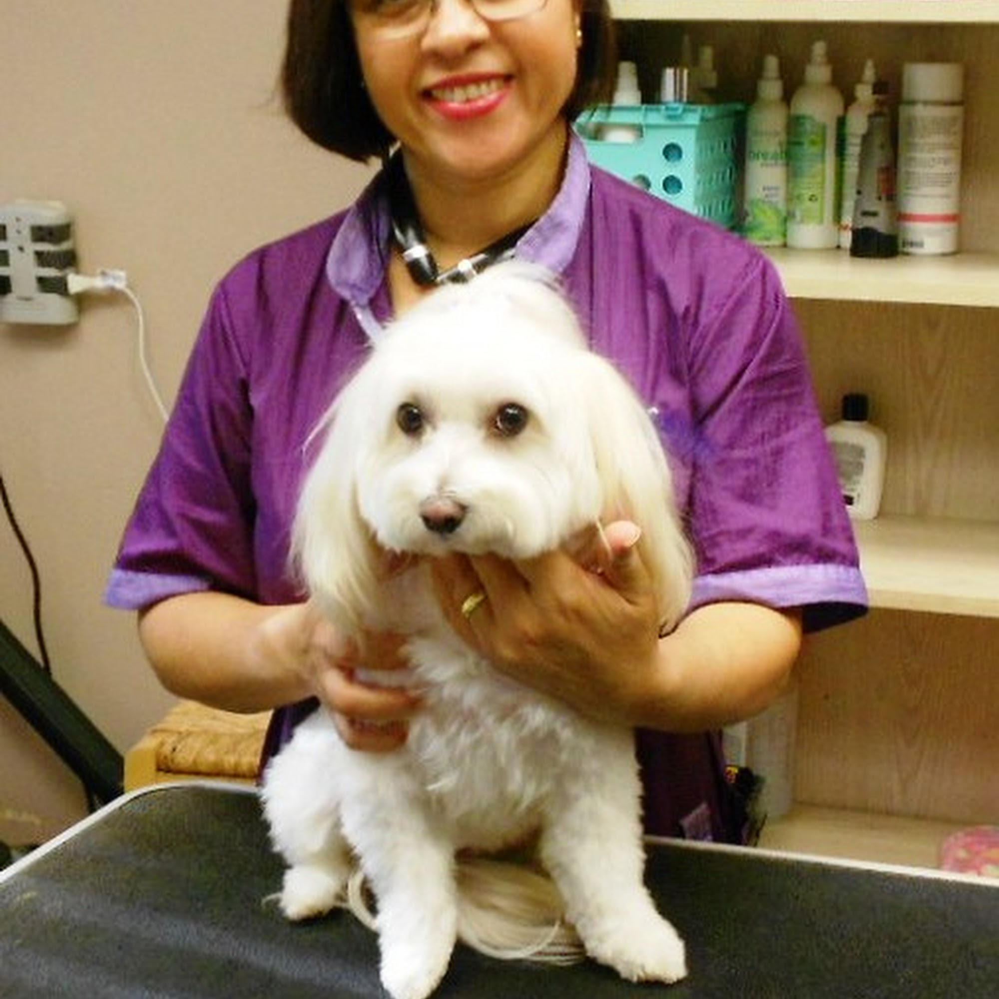 Animal Medical Center Lauderhill