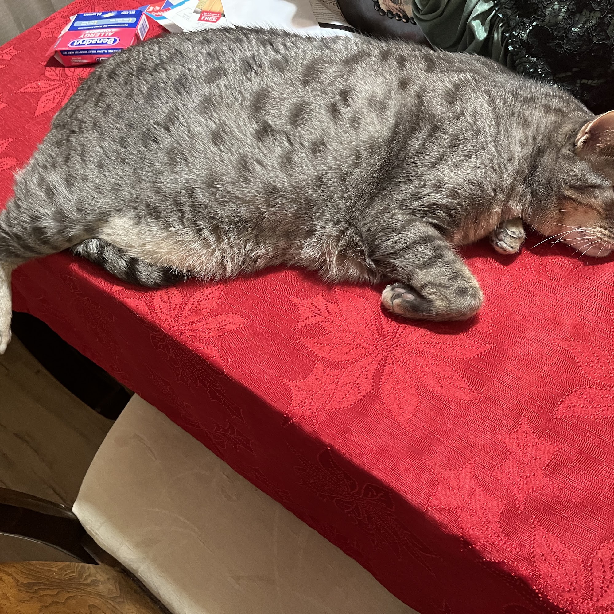 Leesburg Veterinary Hospital Leesburg