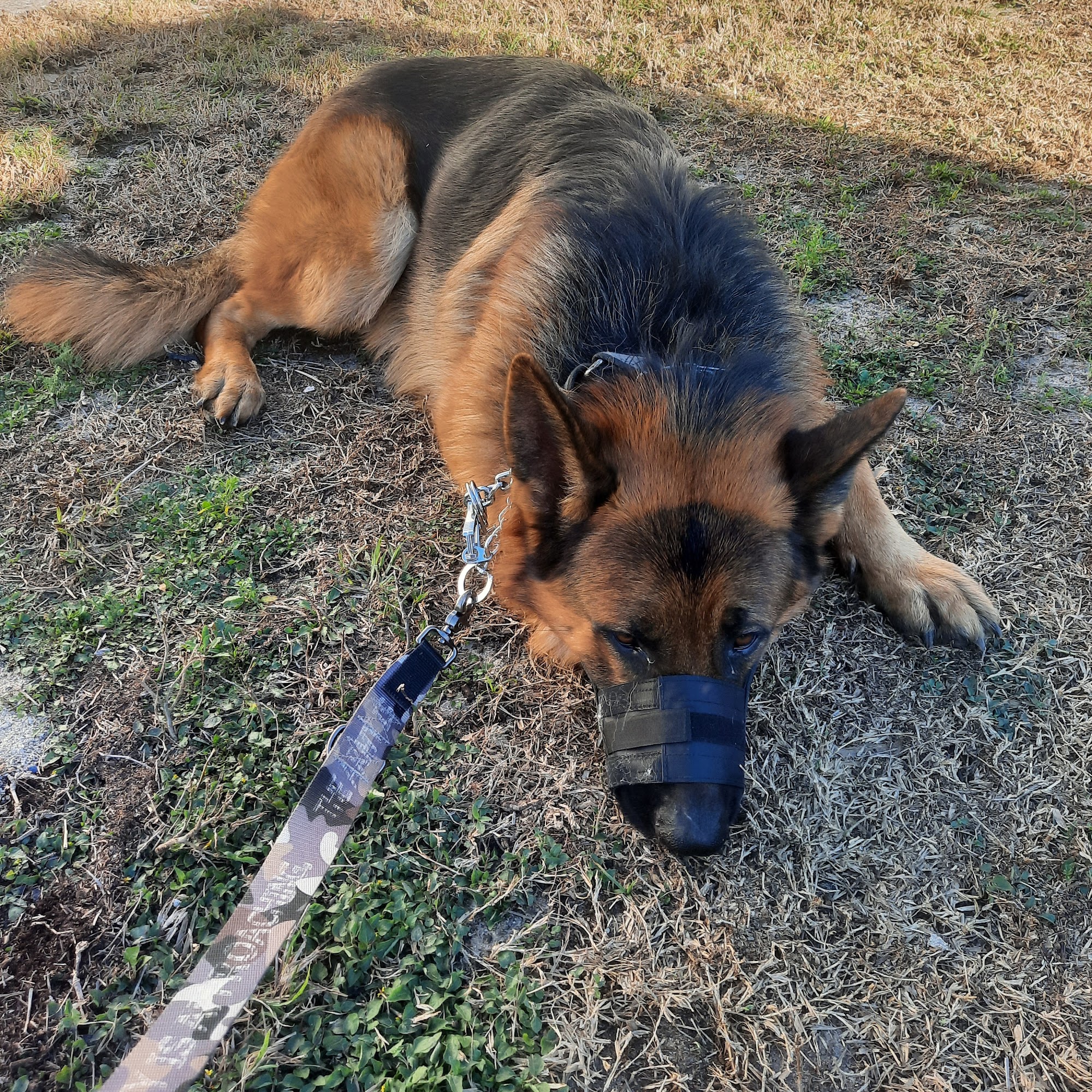 Adkins Larry DVM Leesburg