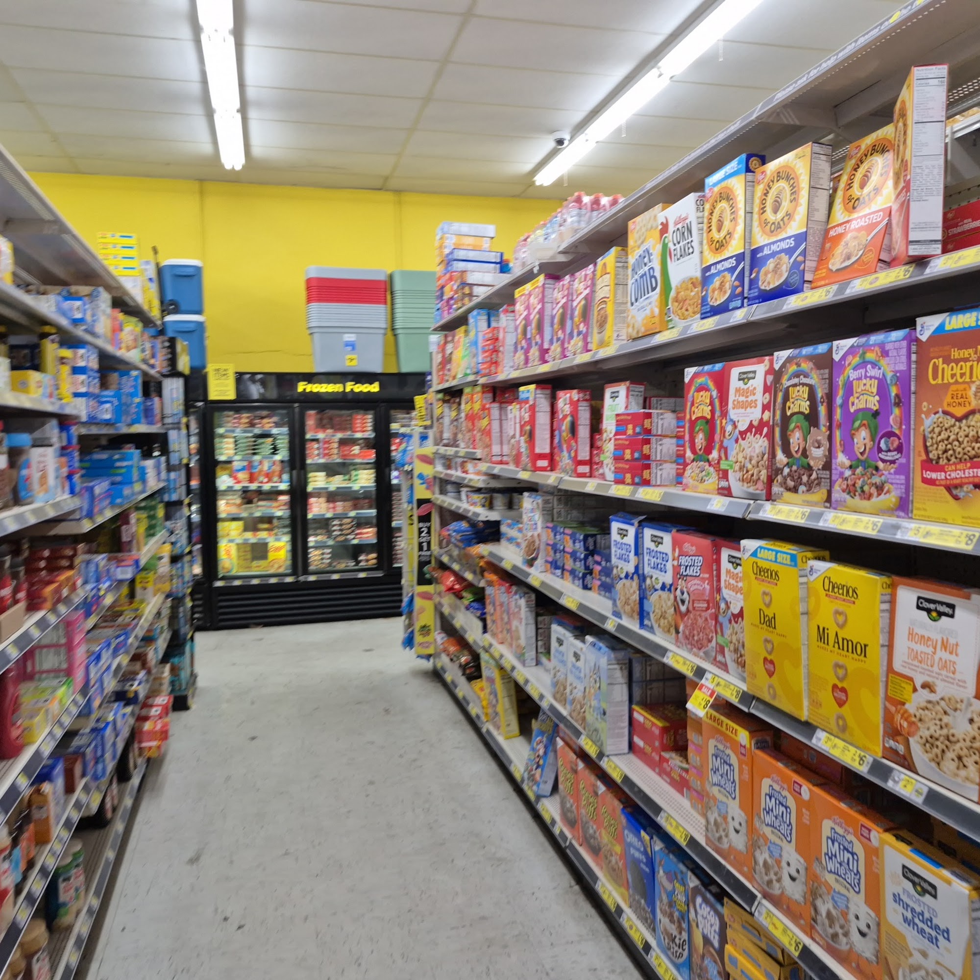 Dollar General Leesburg