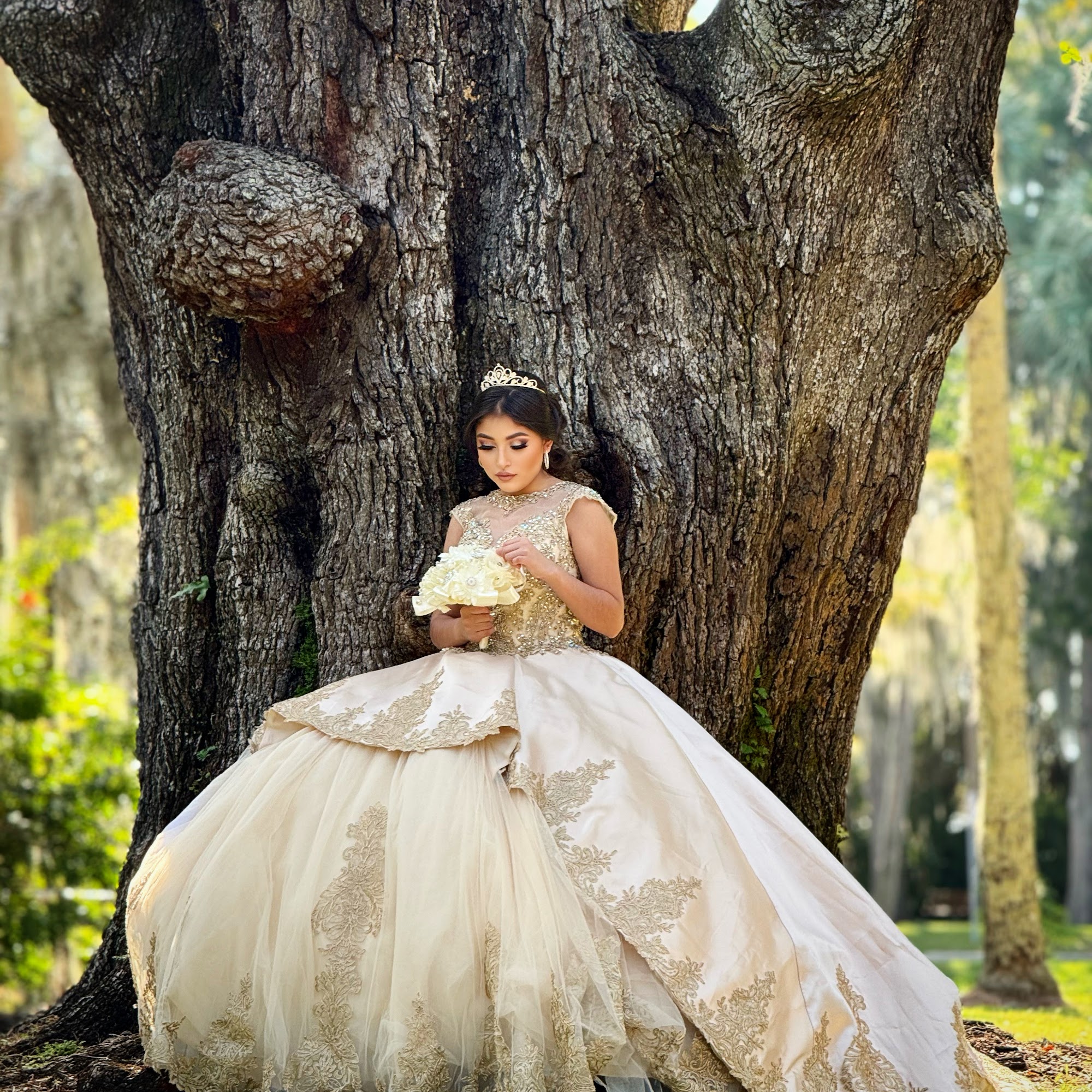 DL Professional Hair Studio