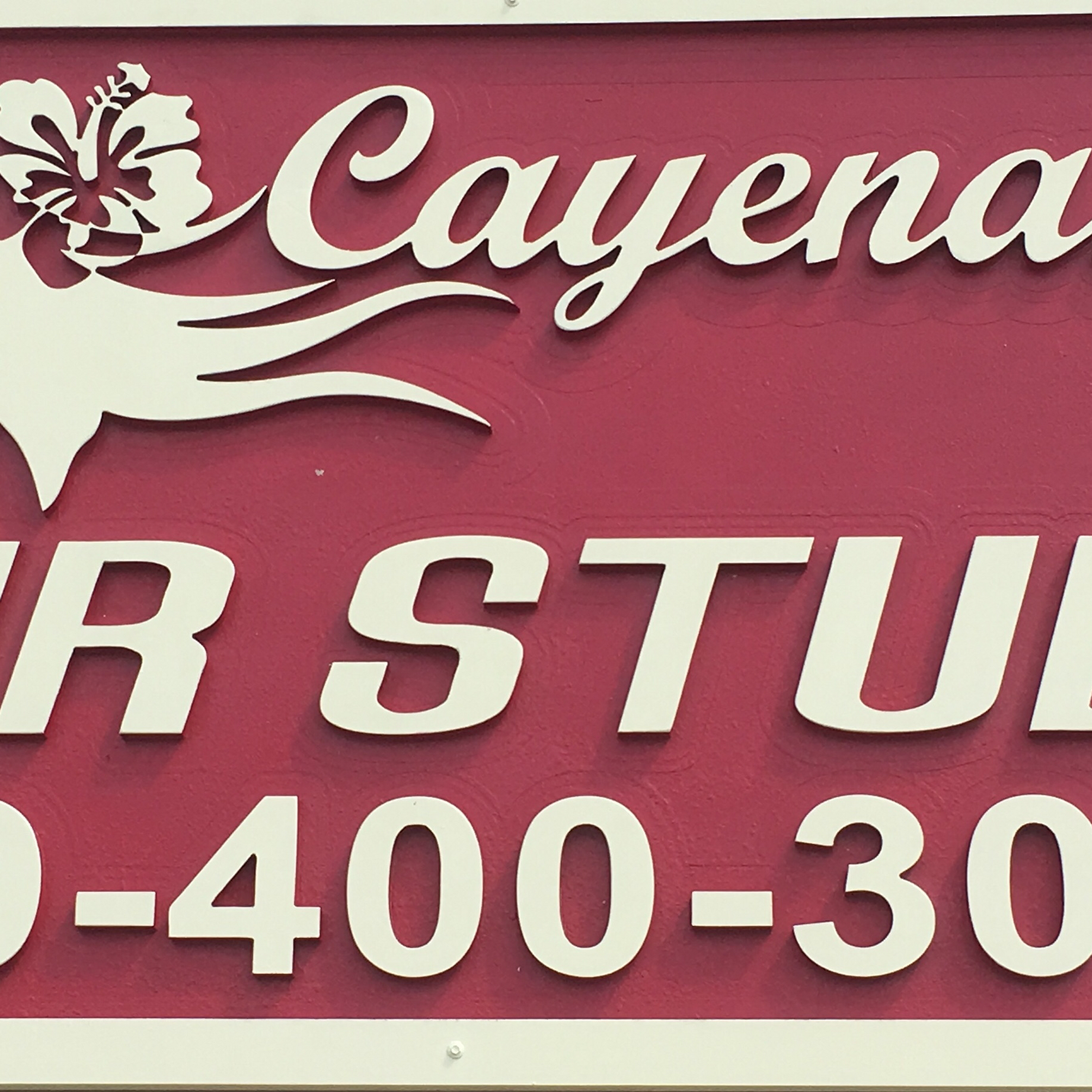 Cayenas 1154 Lee Blvd #1, Lehigh Acres Florida 33936