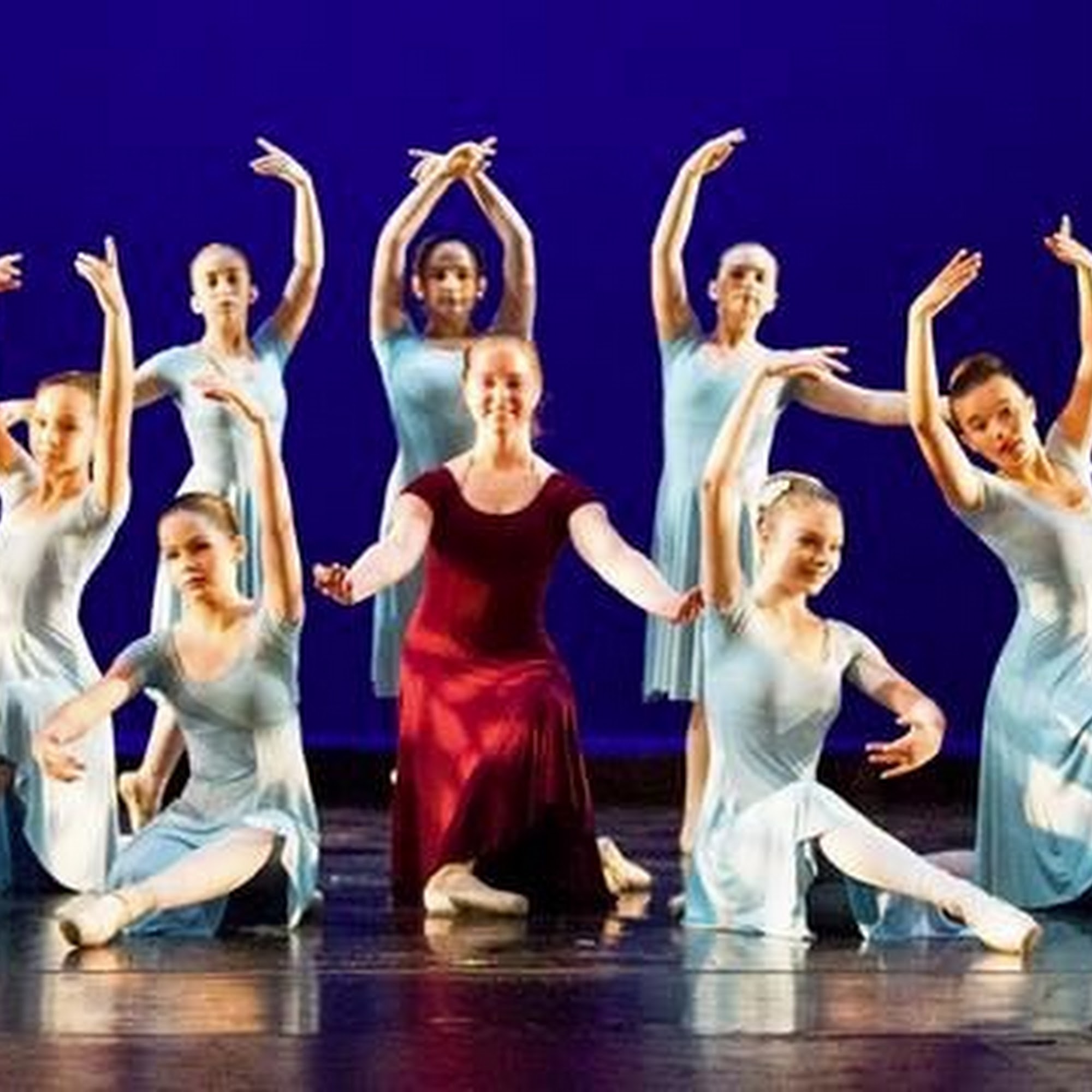 Theatre Arts & Dance Alliance 16711 Fishhawk Blvd, Lithia Florida 33547