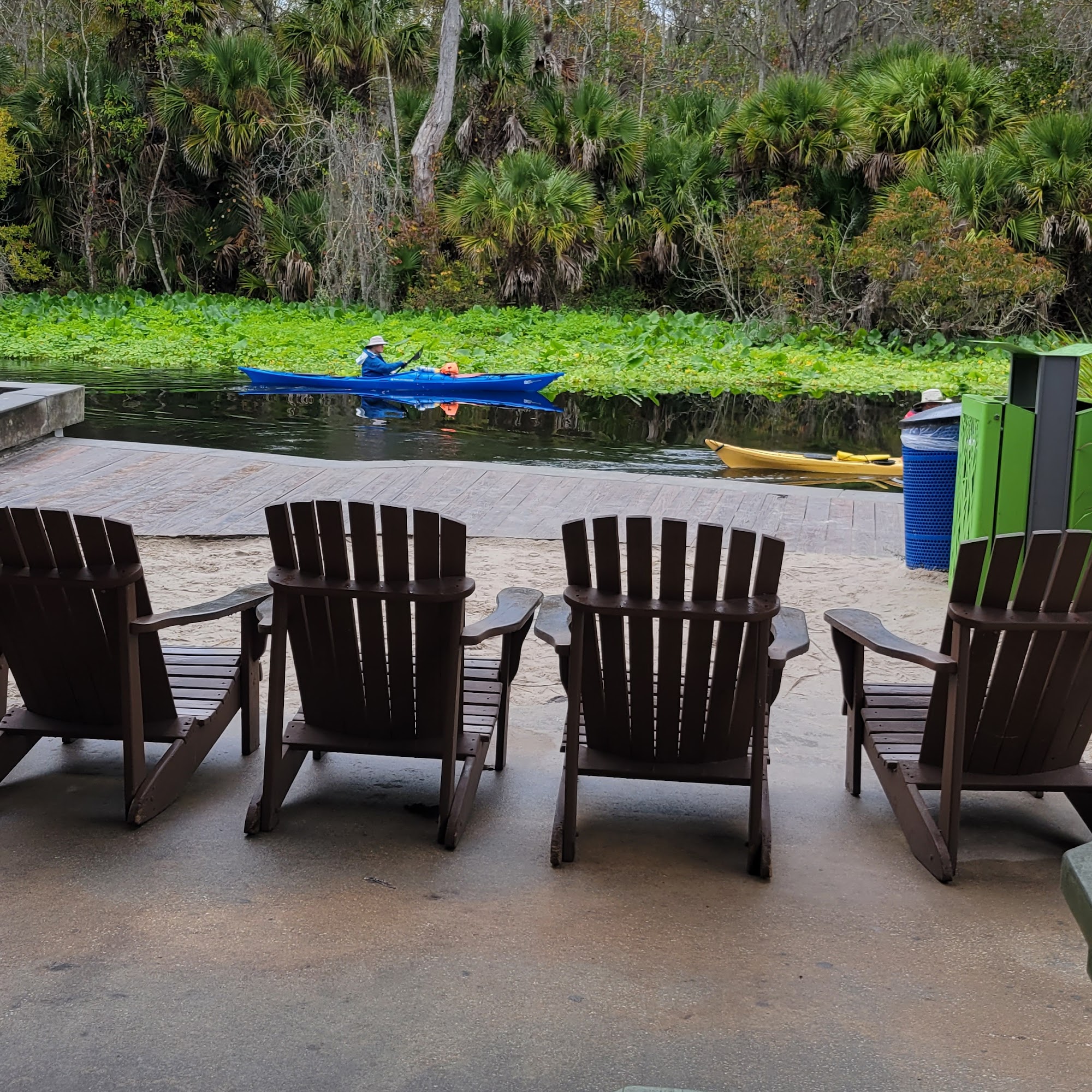 Without A Paddle Cafe Longwood