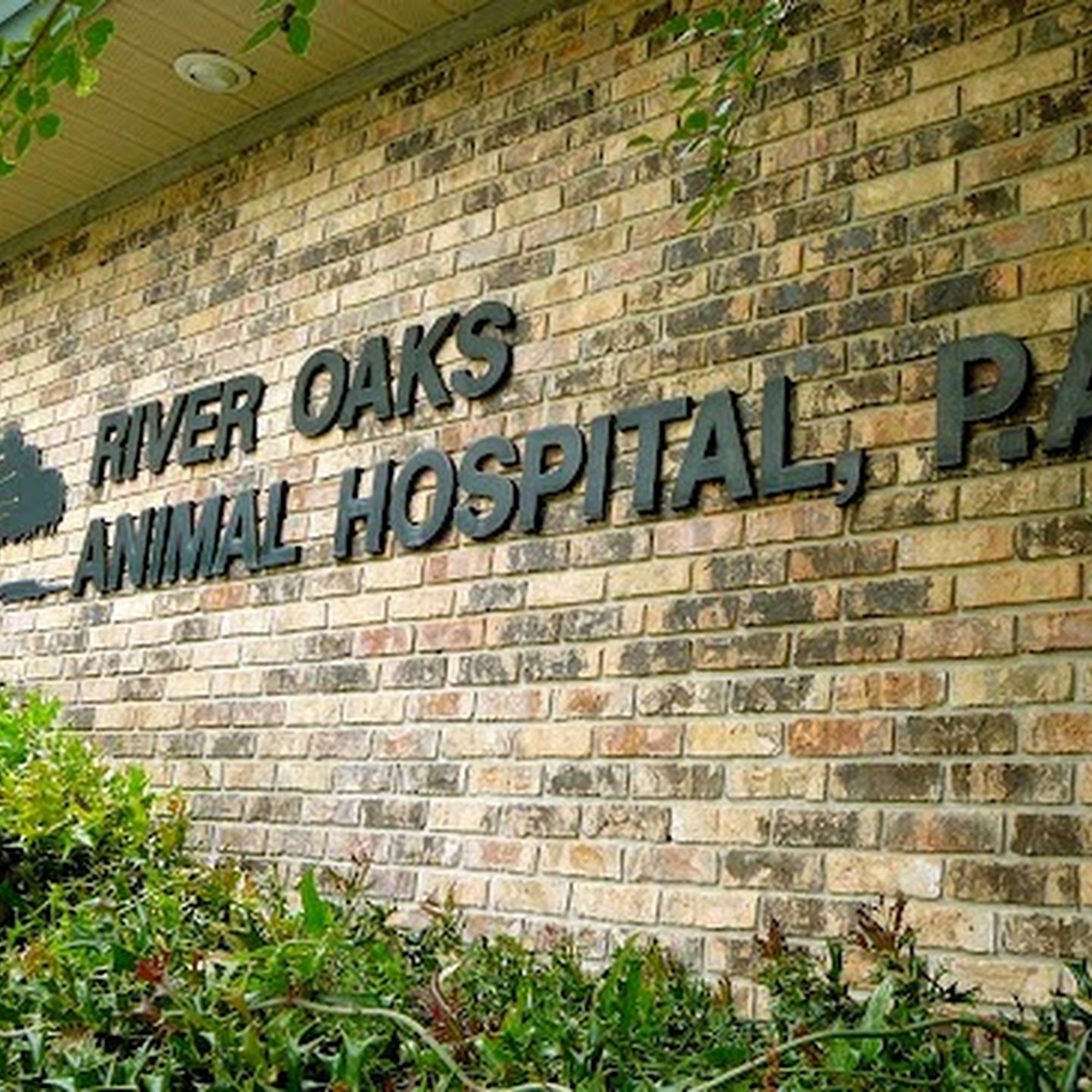 River Oaks Animal Hospital Longwood