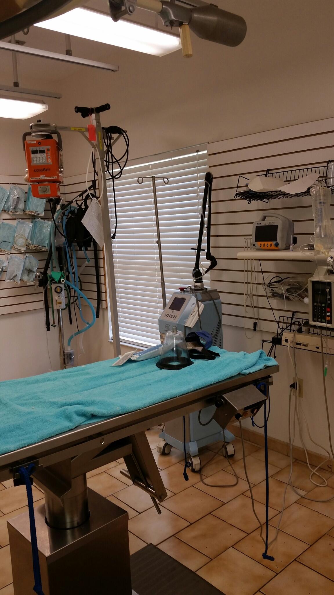 River Oaks Animal Hospital Longwood