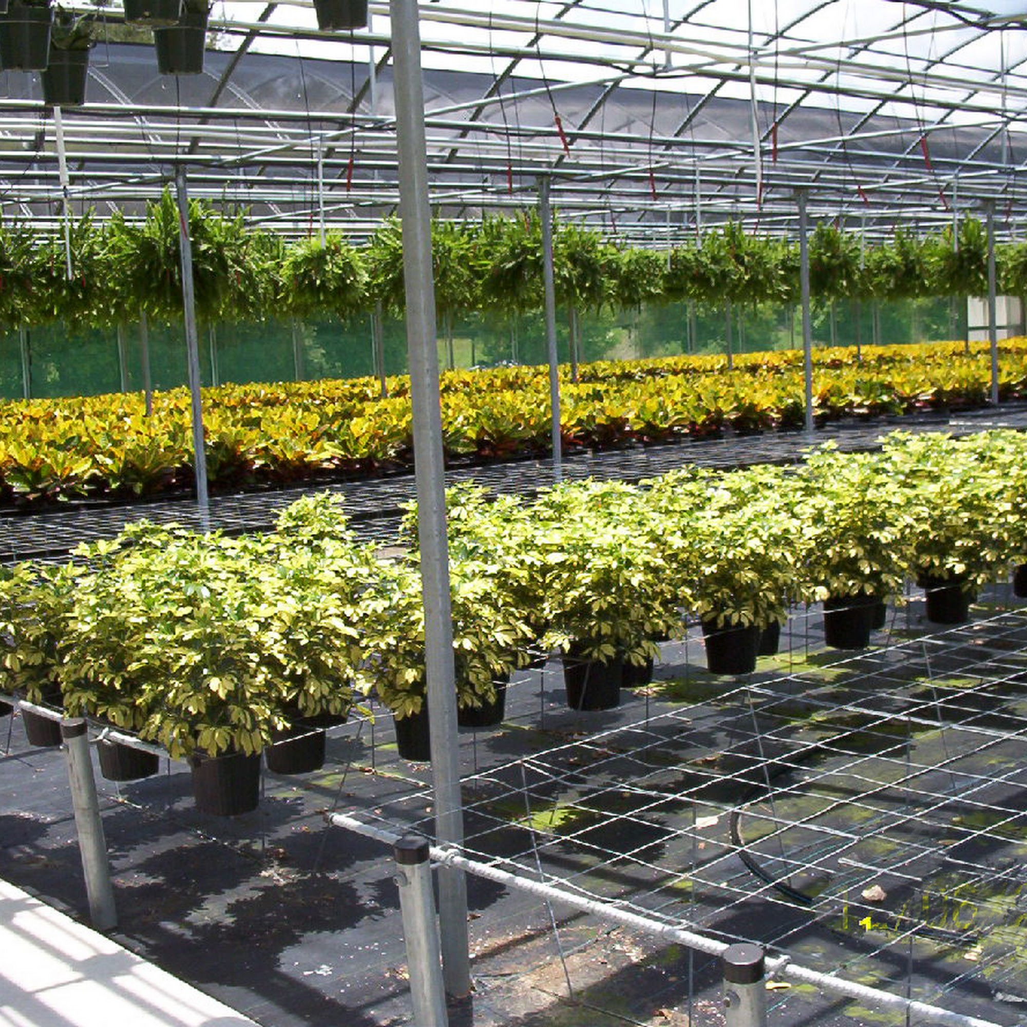 Wire Products, Inc. Longwood