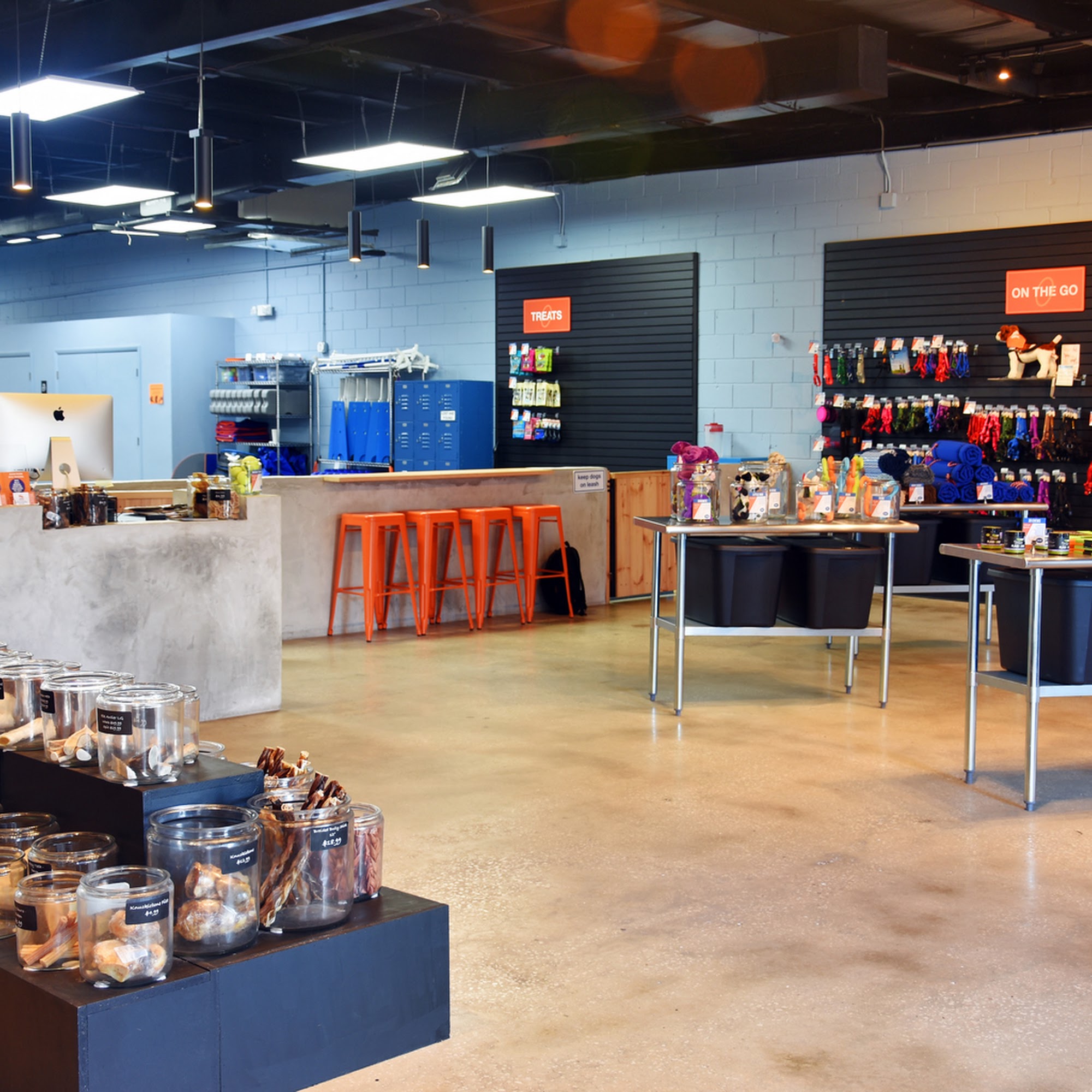 Zoom Room Longwood Longwood