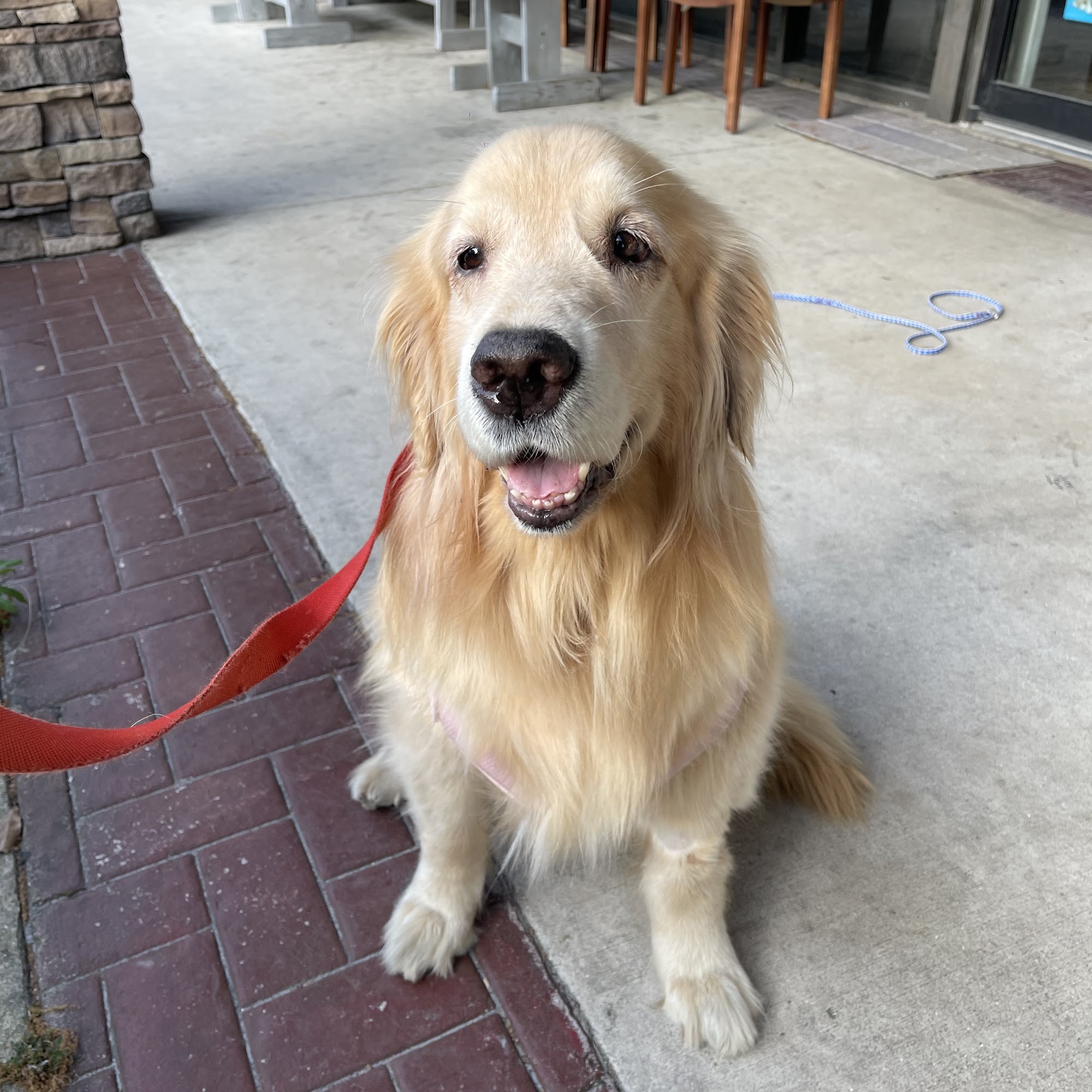 Loxahatchee Groves Veterinary Clinic Loxahatchee