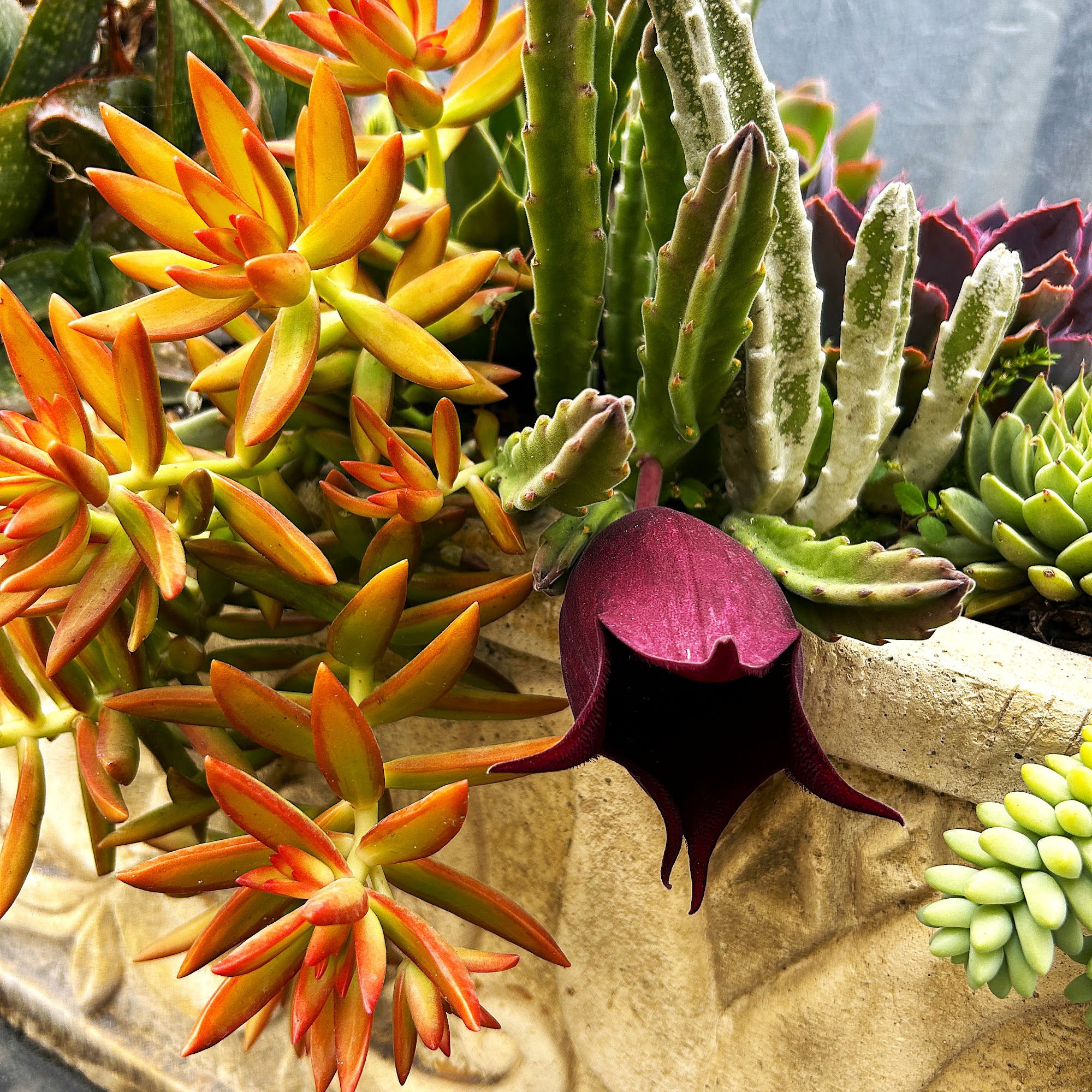 Garden Industries Loxahatchee