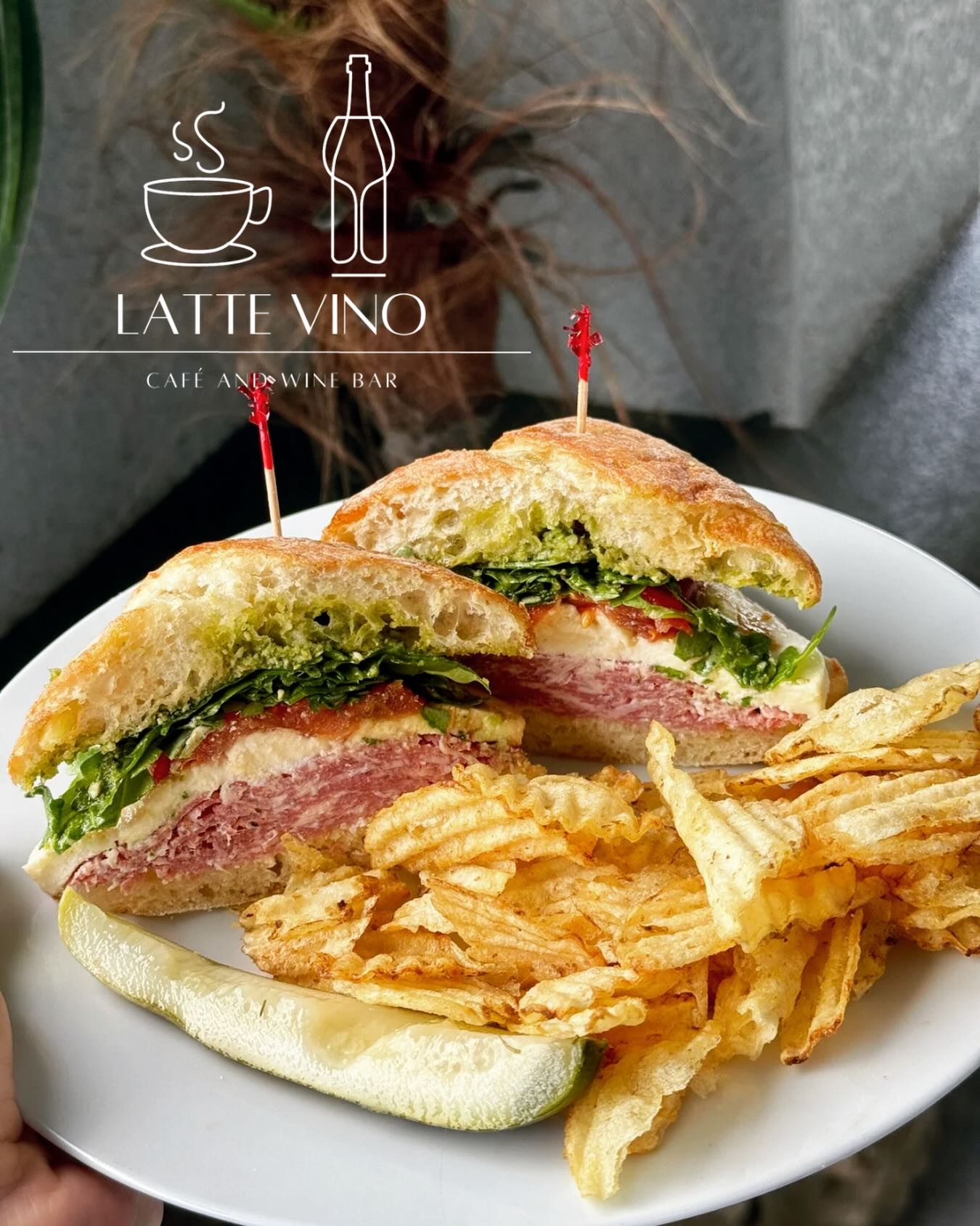 Latte Vino Lutz