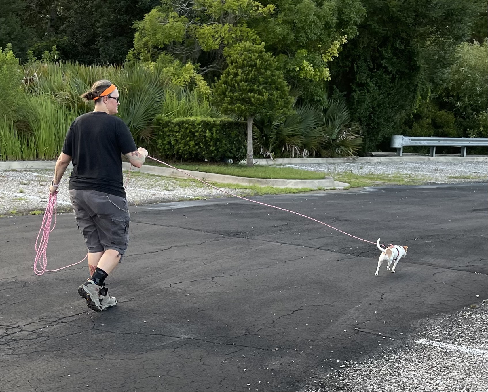 Courteous Canine, Inc. Lutz