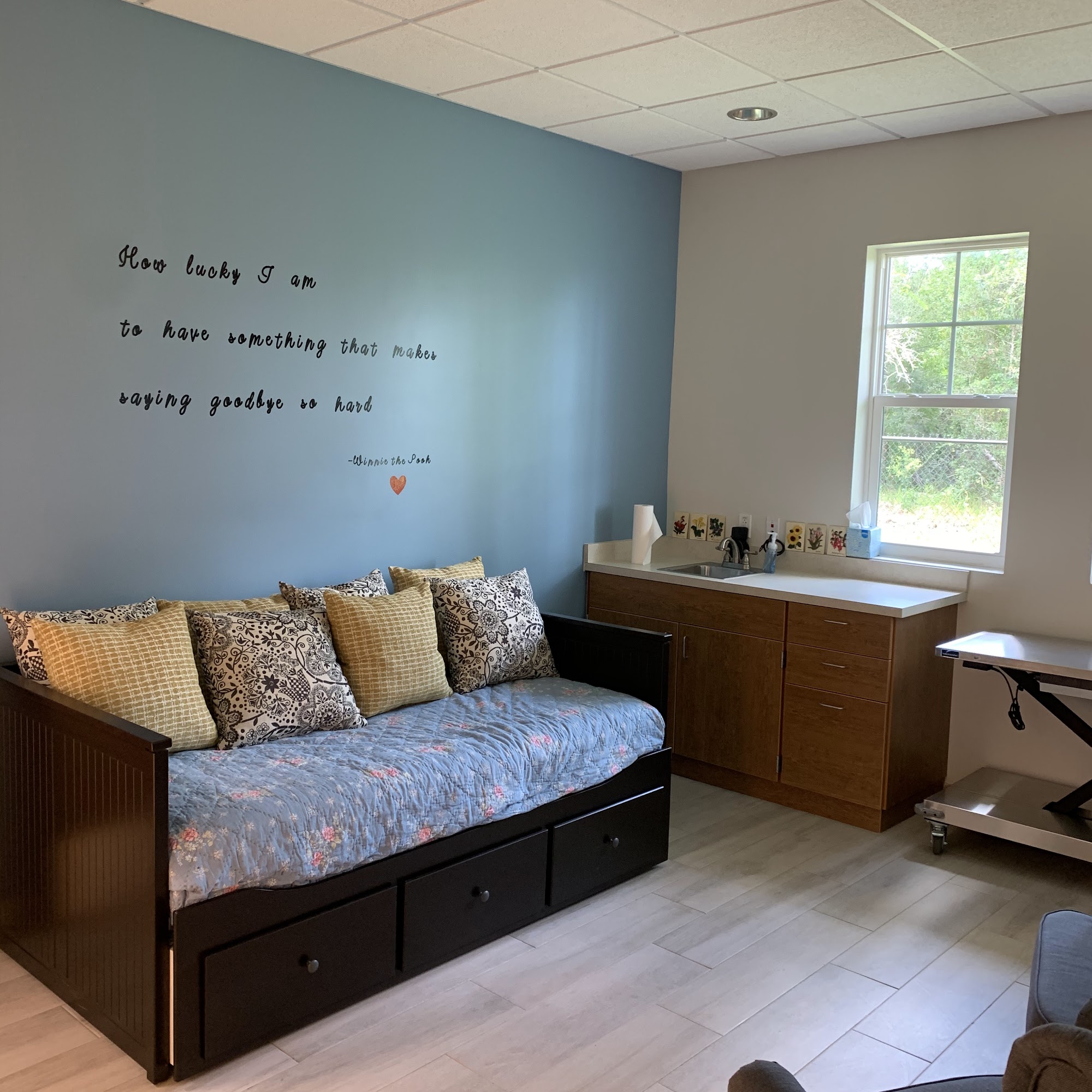 Cheval Animal Hospital Lutz