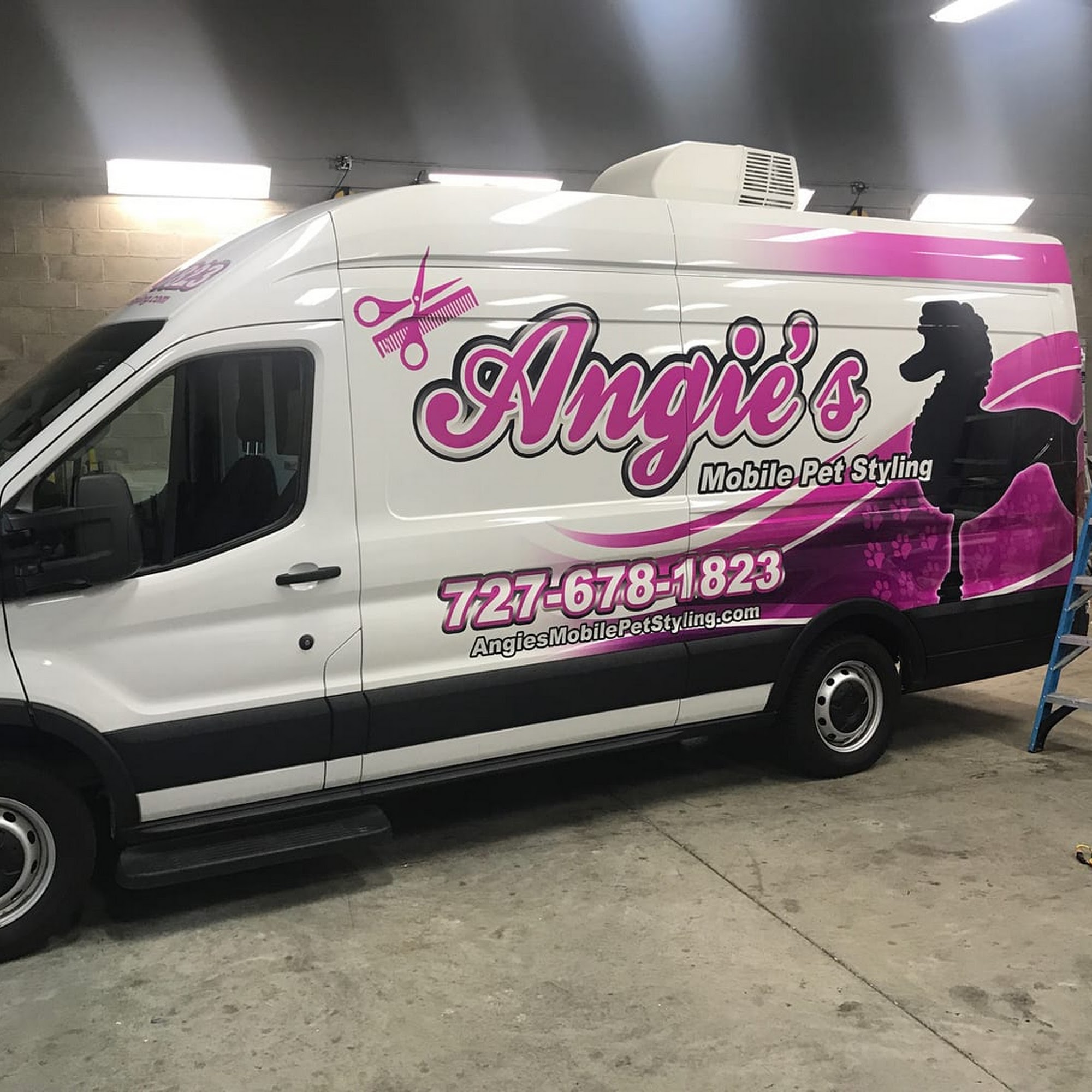 Angie's Mobile Pet Styling 318 Deer Cove Ln, Lutz Florida 33548