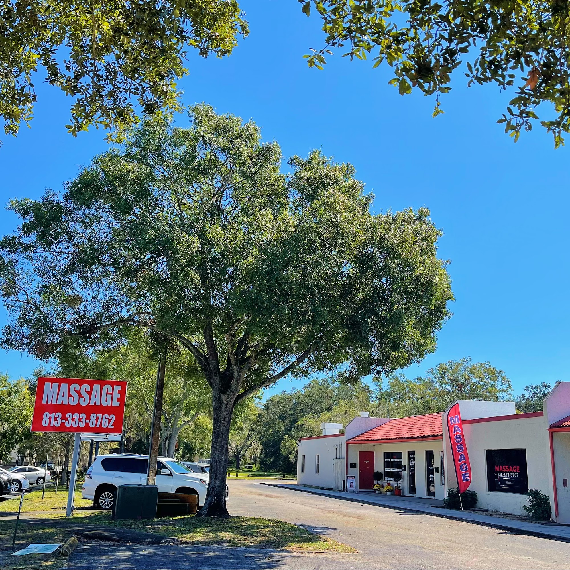 Relax Massage 102 Flagship Dr suite 124, Lutz Florida 33549