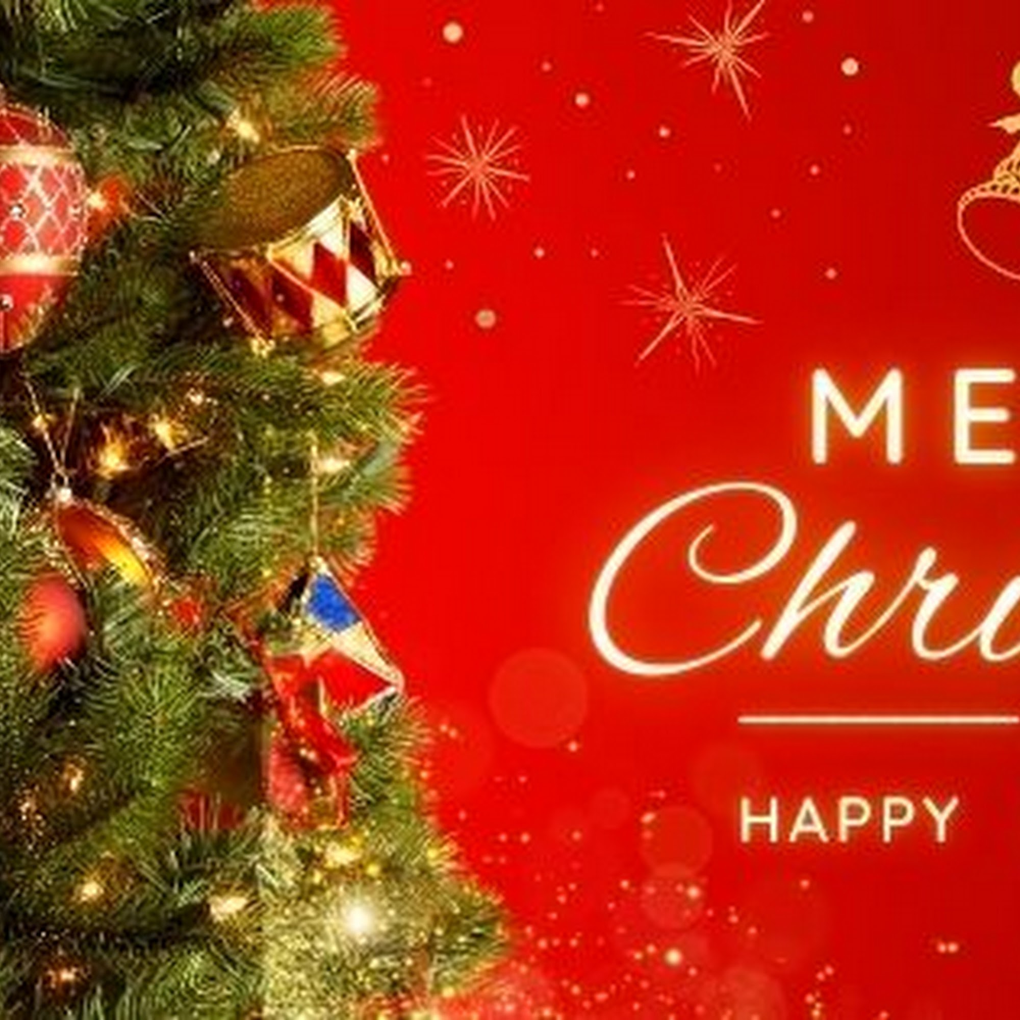 Nail Charisma - Non Toxic