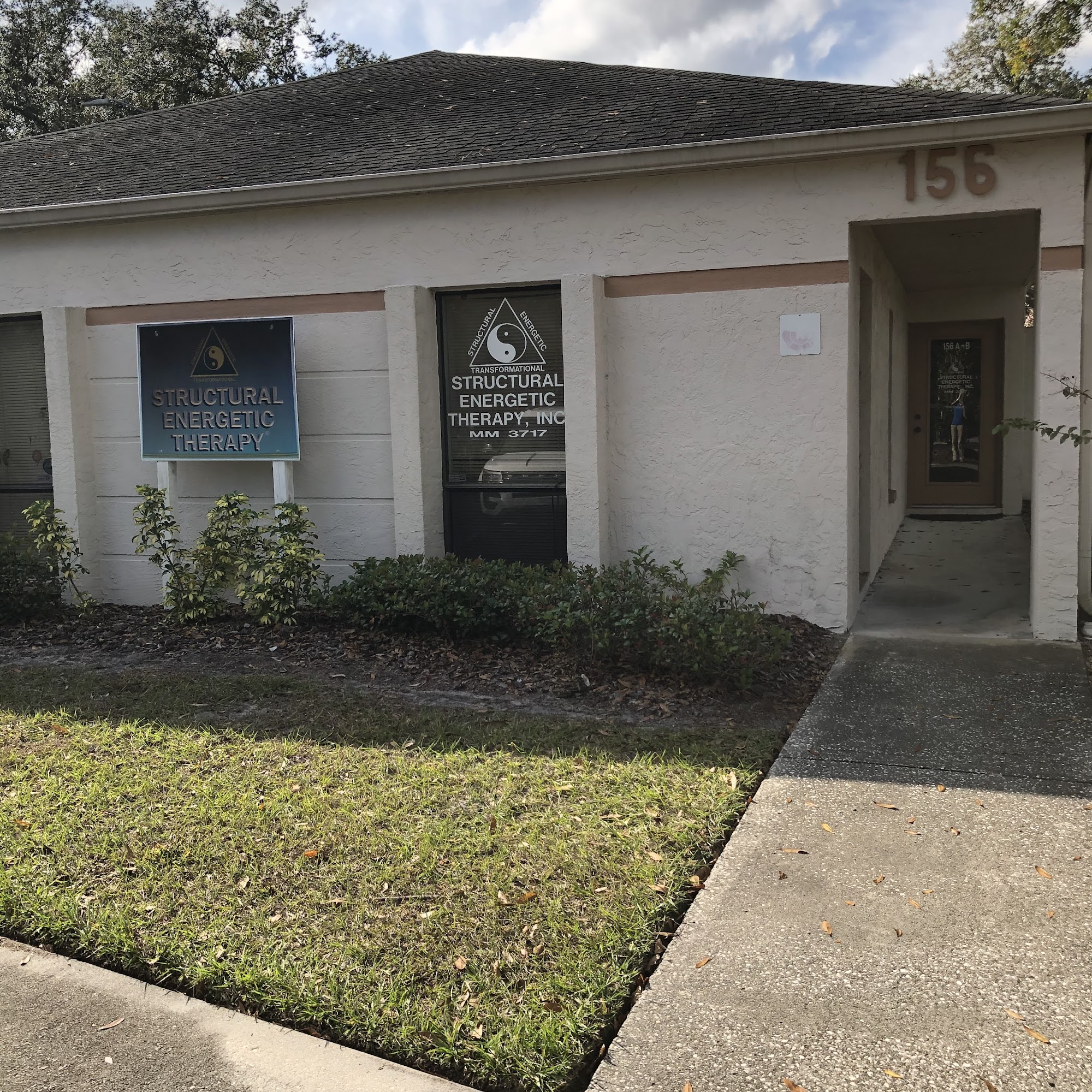 Structural Energetic Therapy 156 B Whitaker Rd, Lutz Florida 33549