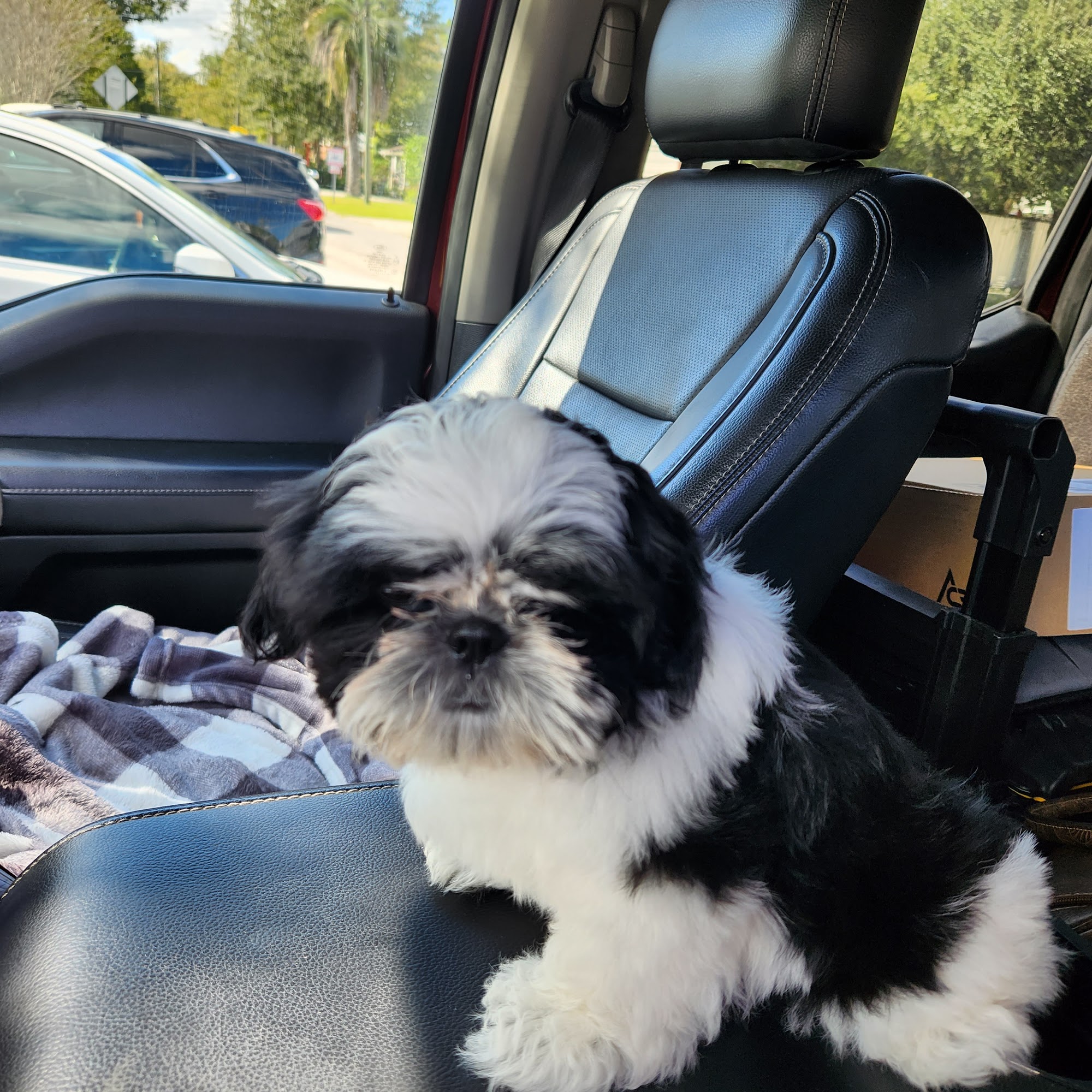 Macclenny Veterinary Hospital Macclenny