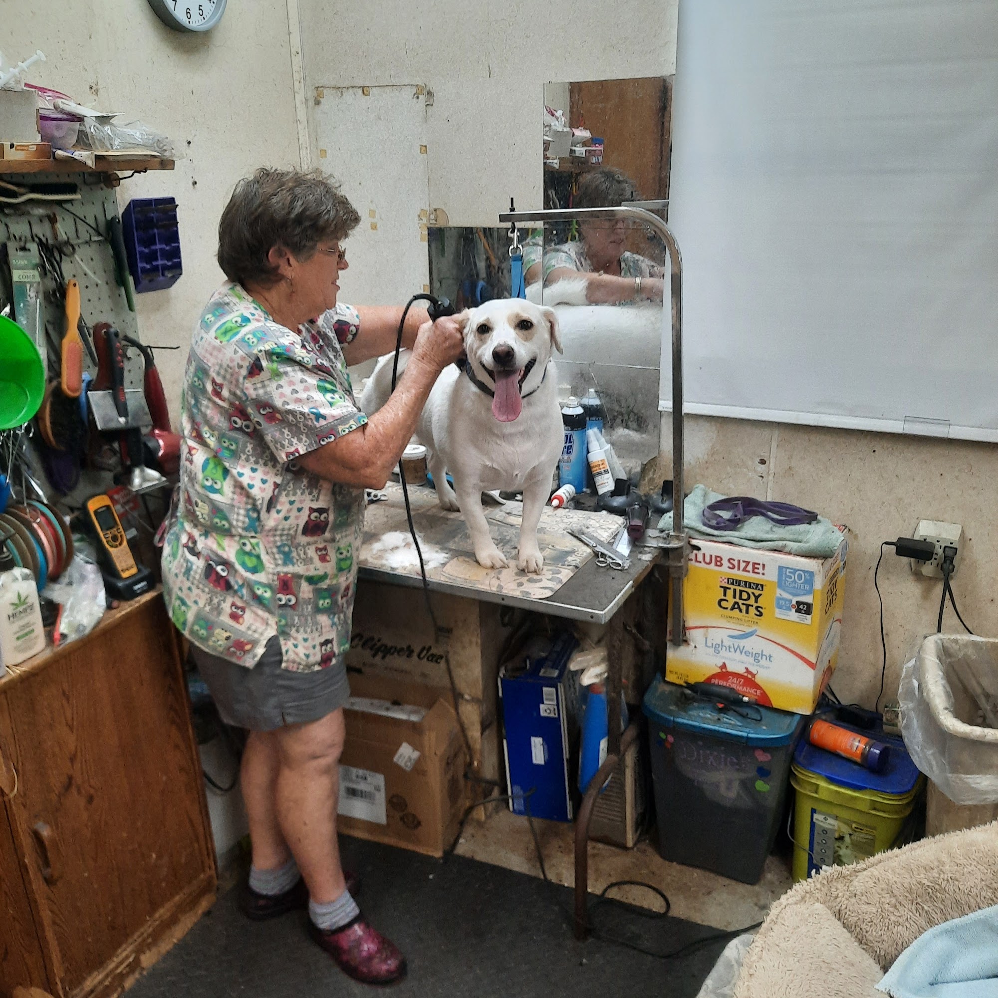 Woodlawn Boarding Kennels Macclenny