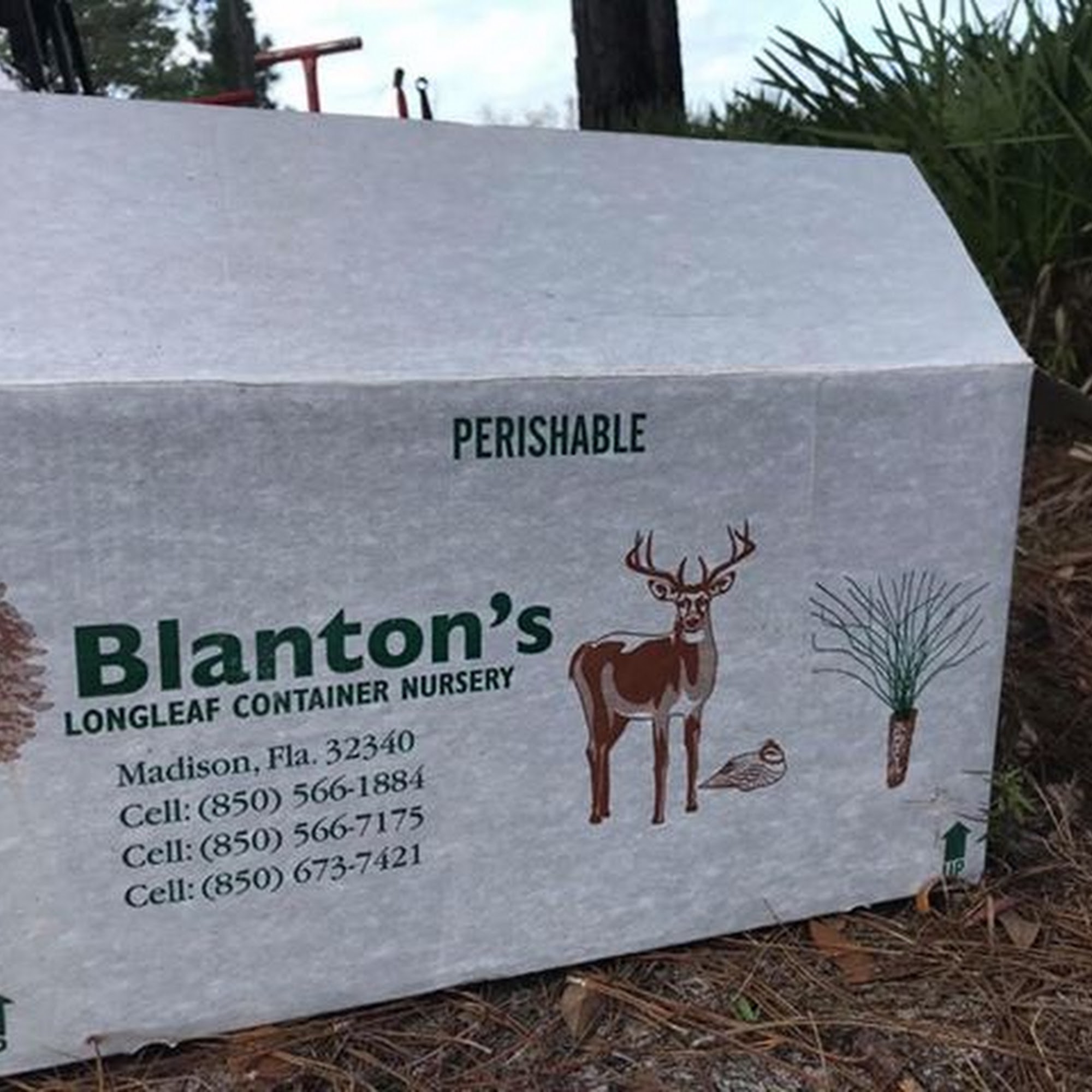 Blanton's LongLeaf Container Nursery Madison
