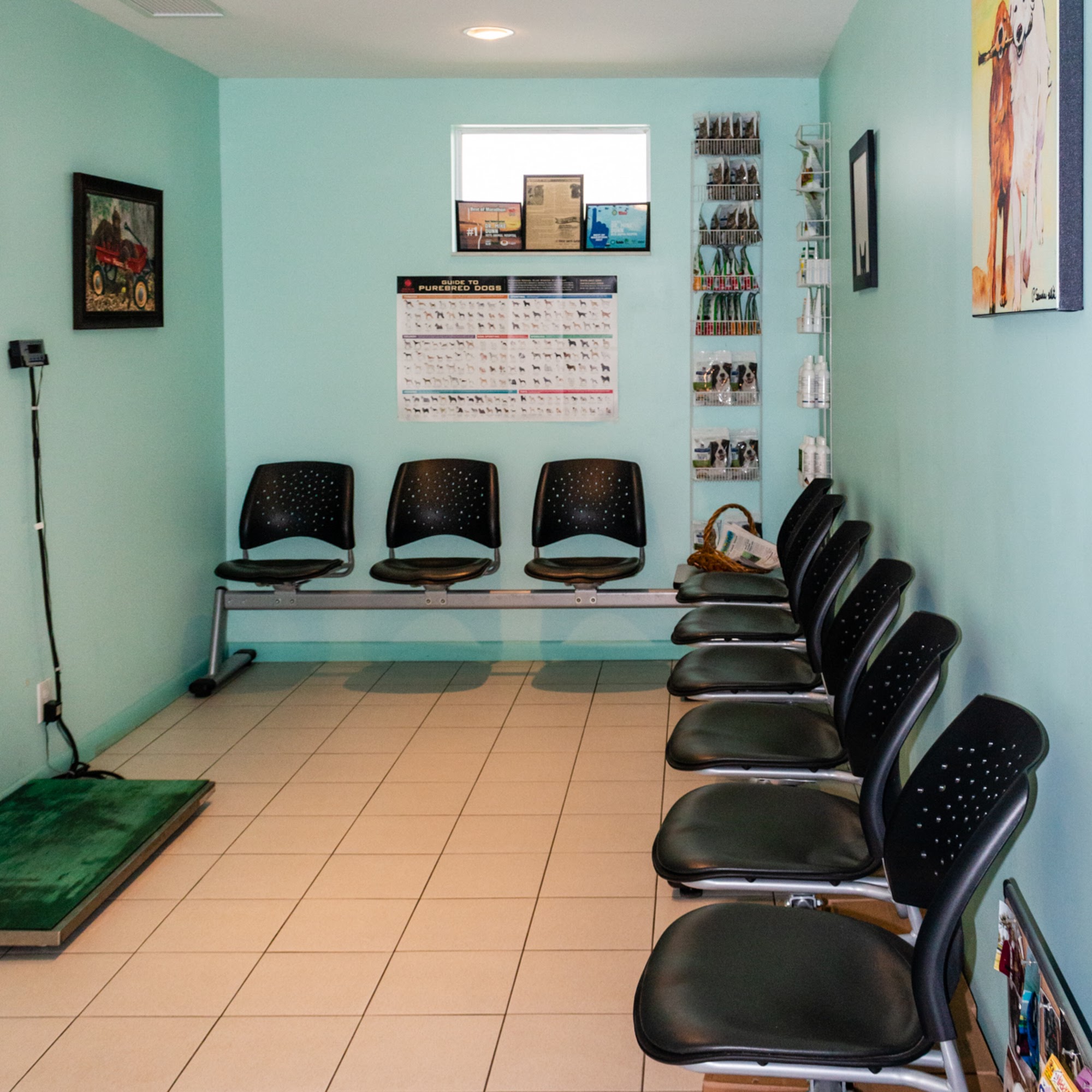 Keys Animal Hospital Marathon