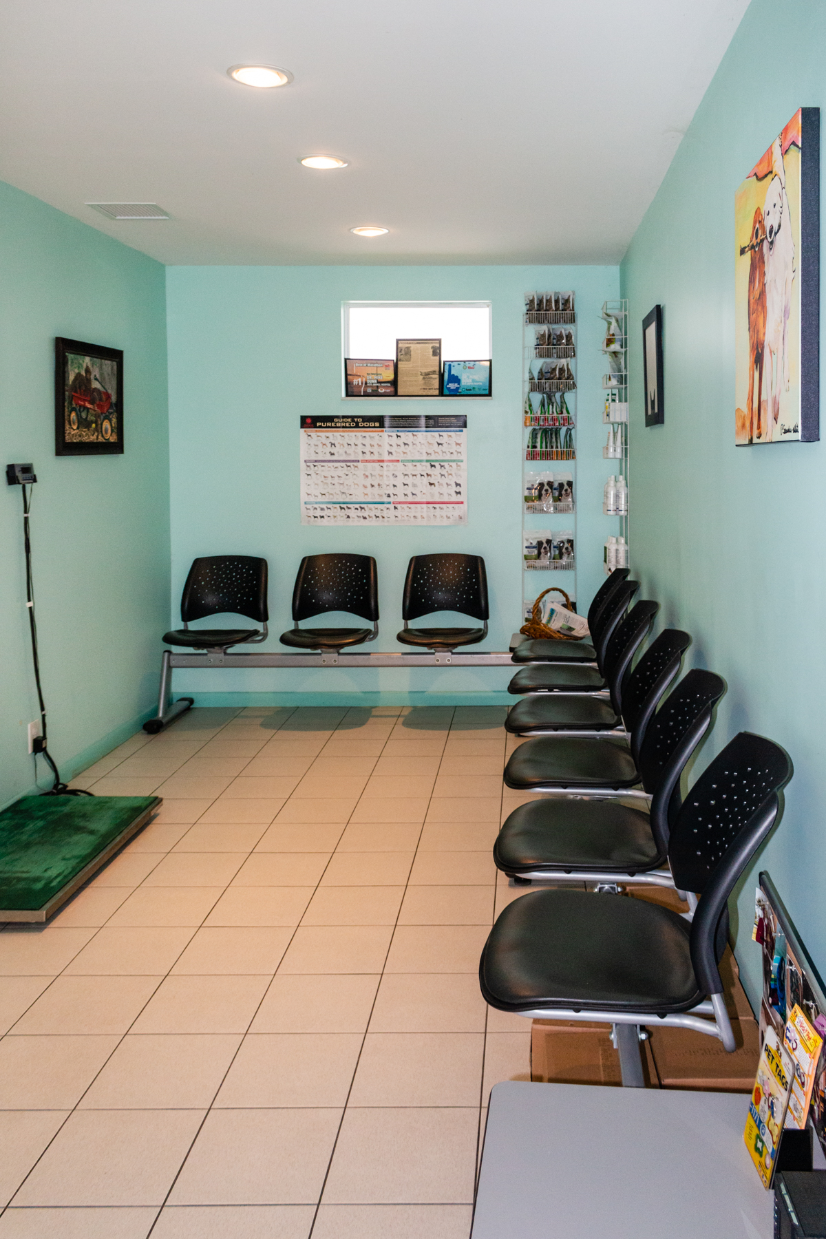 Keys Animal Hospital Marathon