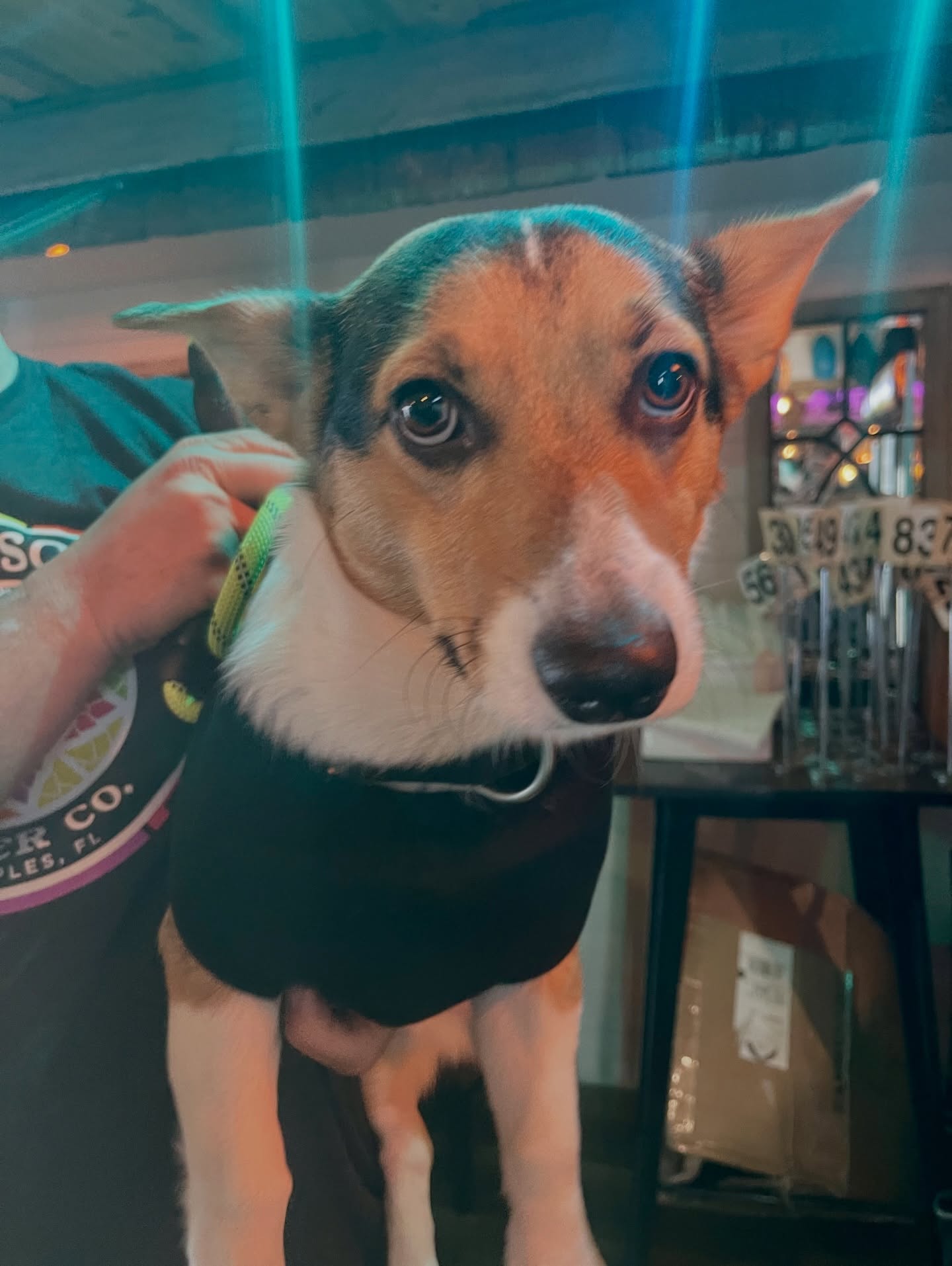 The Boardroom Tavern Marco Island