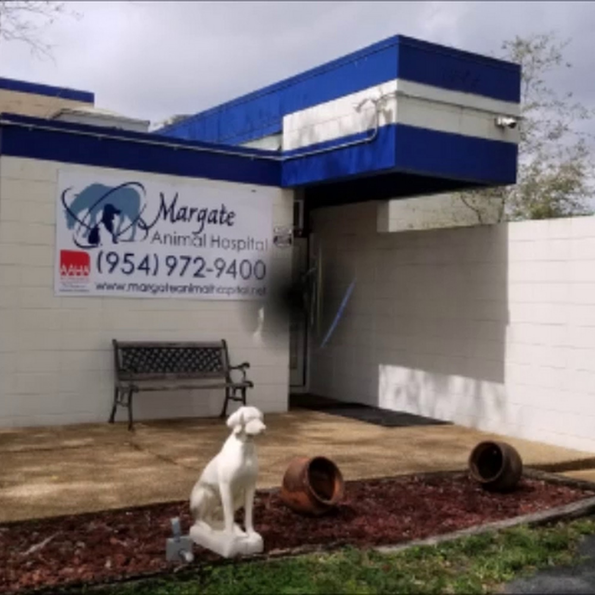 Margate Animal Hospital Margate