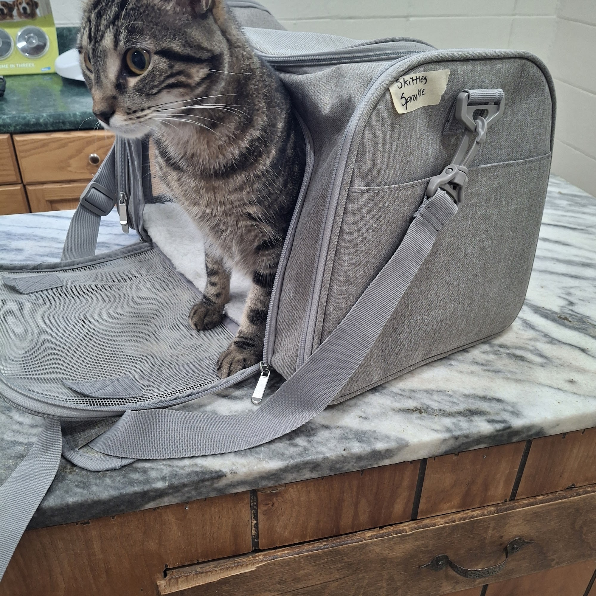 Marianna Animal Hospital Marianna