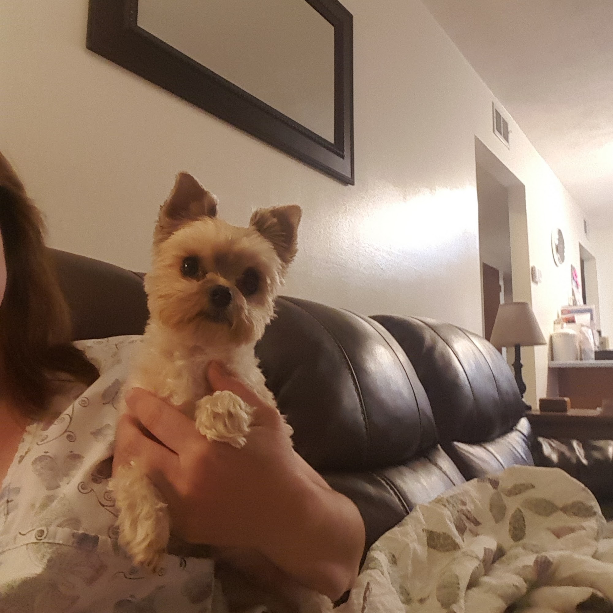Tammy's Grooming Salon and Boarding Marianna