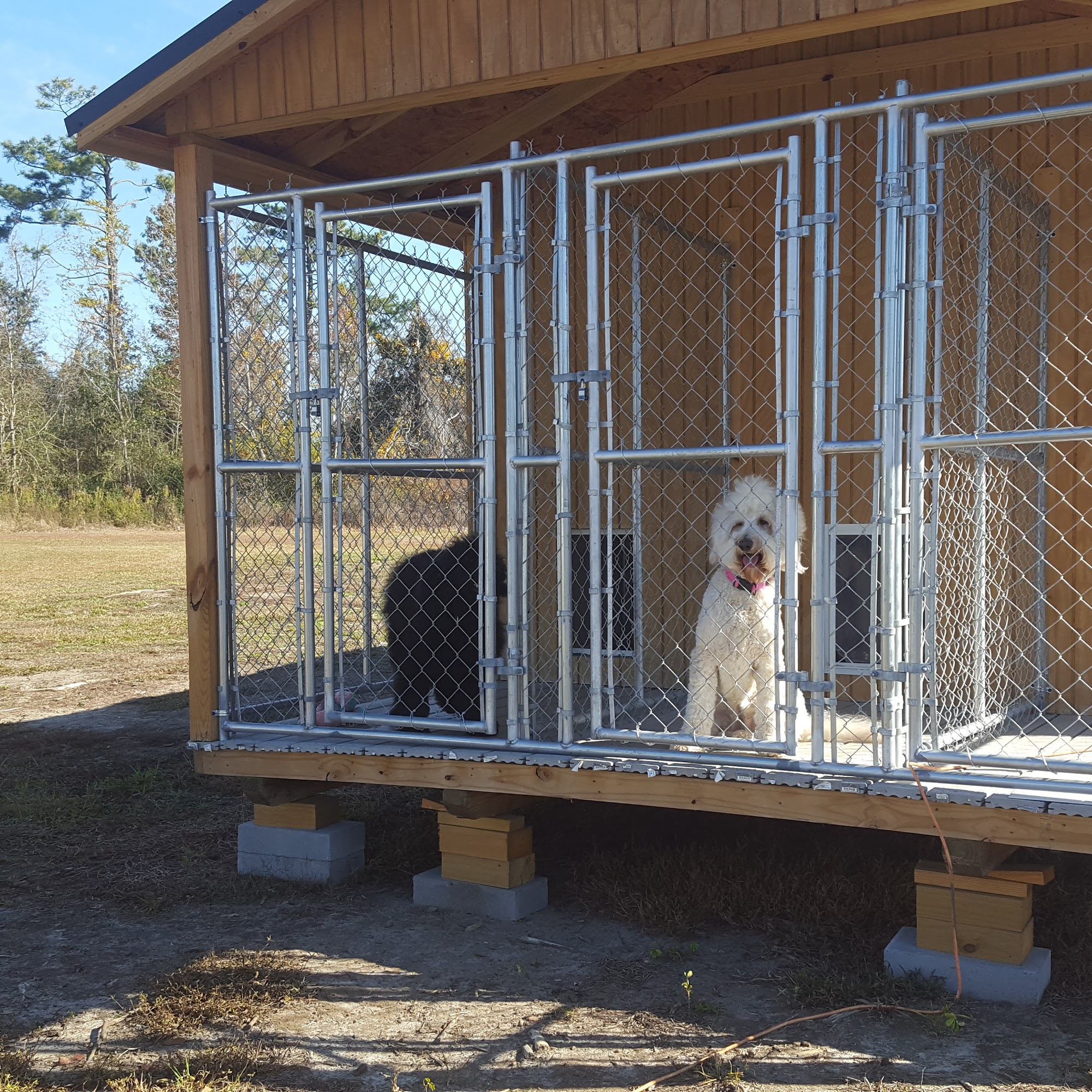 Tammy's Grooming Salon and Boarding 4421 Pandora Rd, Marianna Florida 32448