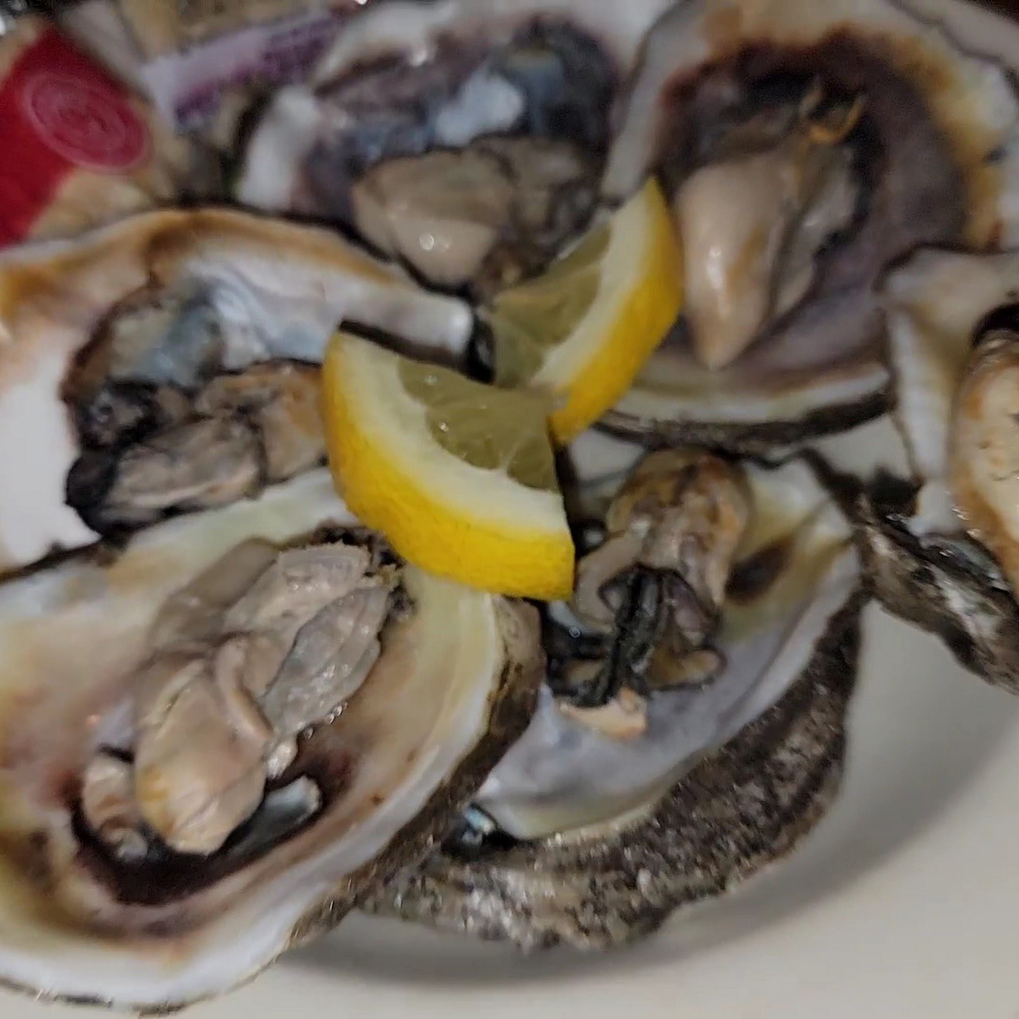 J.C. Seafood House Mary Esther