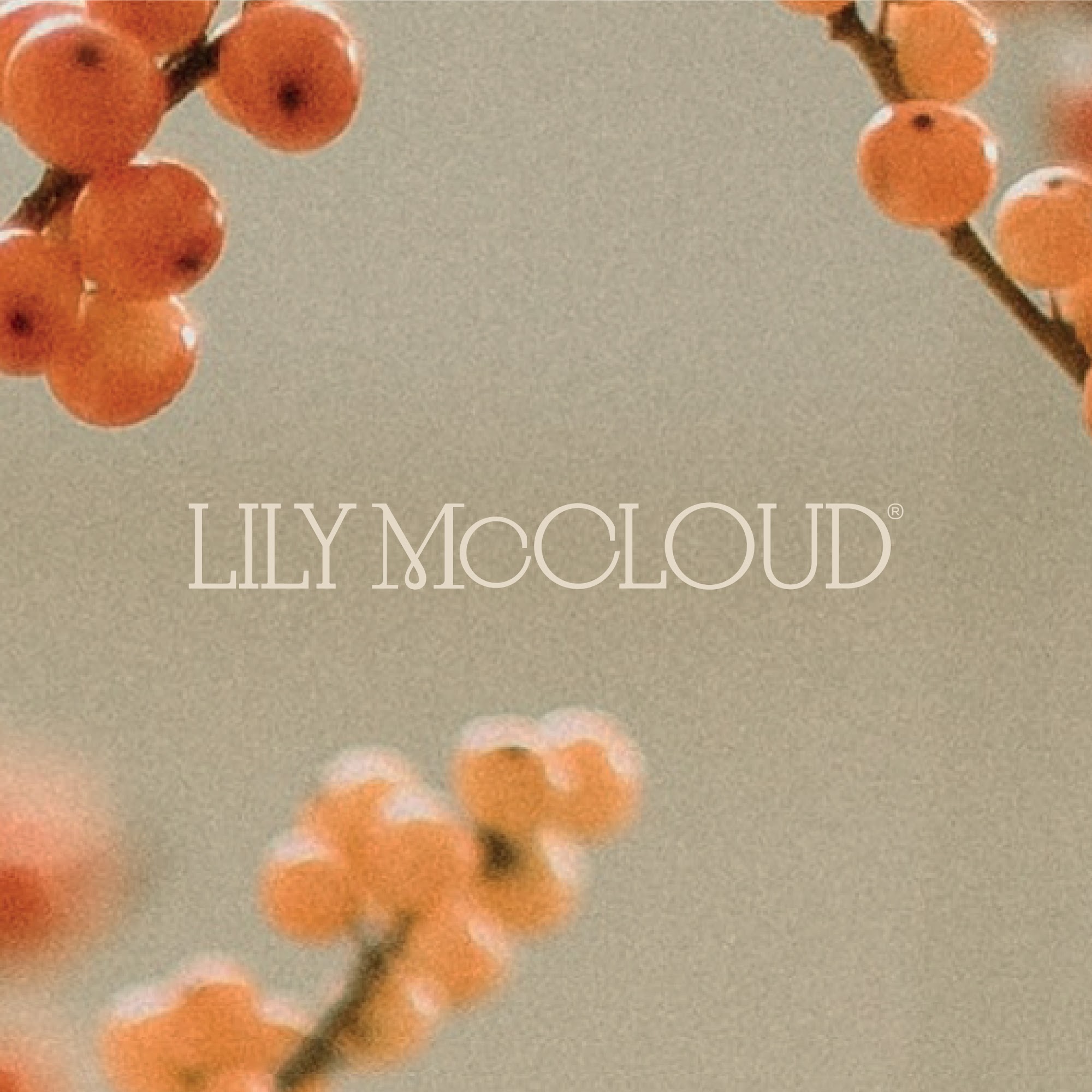 Lily McCloud Beauty Salon and Spa 8501 NW South River Dr, Medley Florida 33166