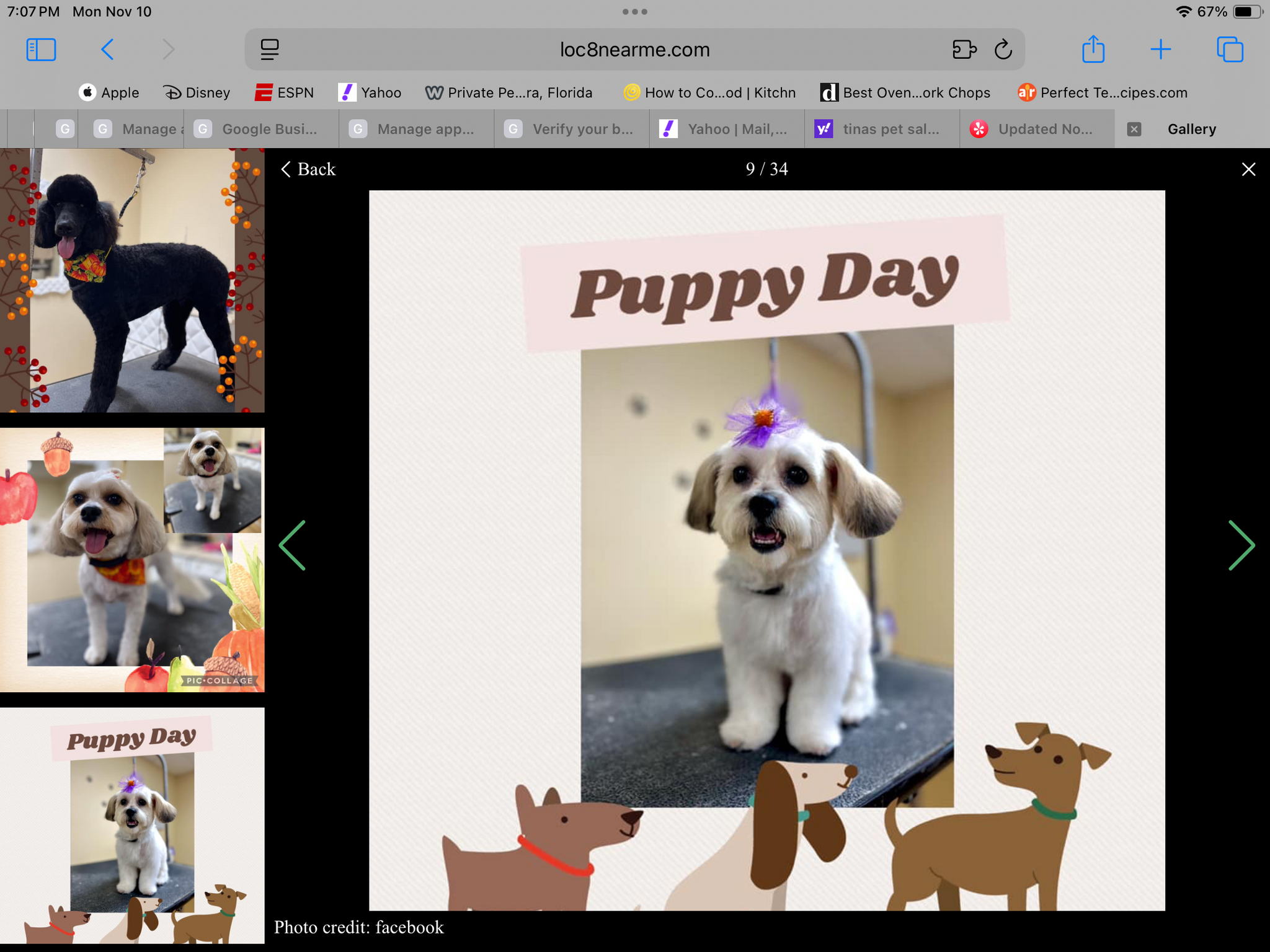 Tina's Pet Salon & Spa Melbourne