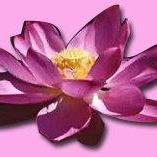 melbourne fl massage therapy