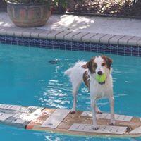 Pet Nannies, LLC Melbourne