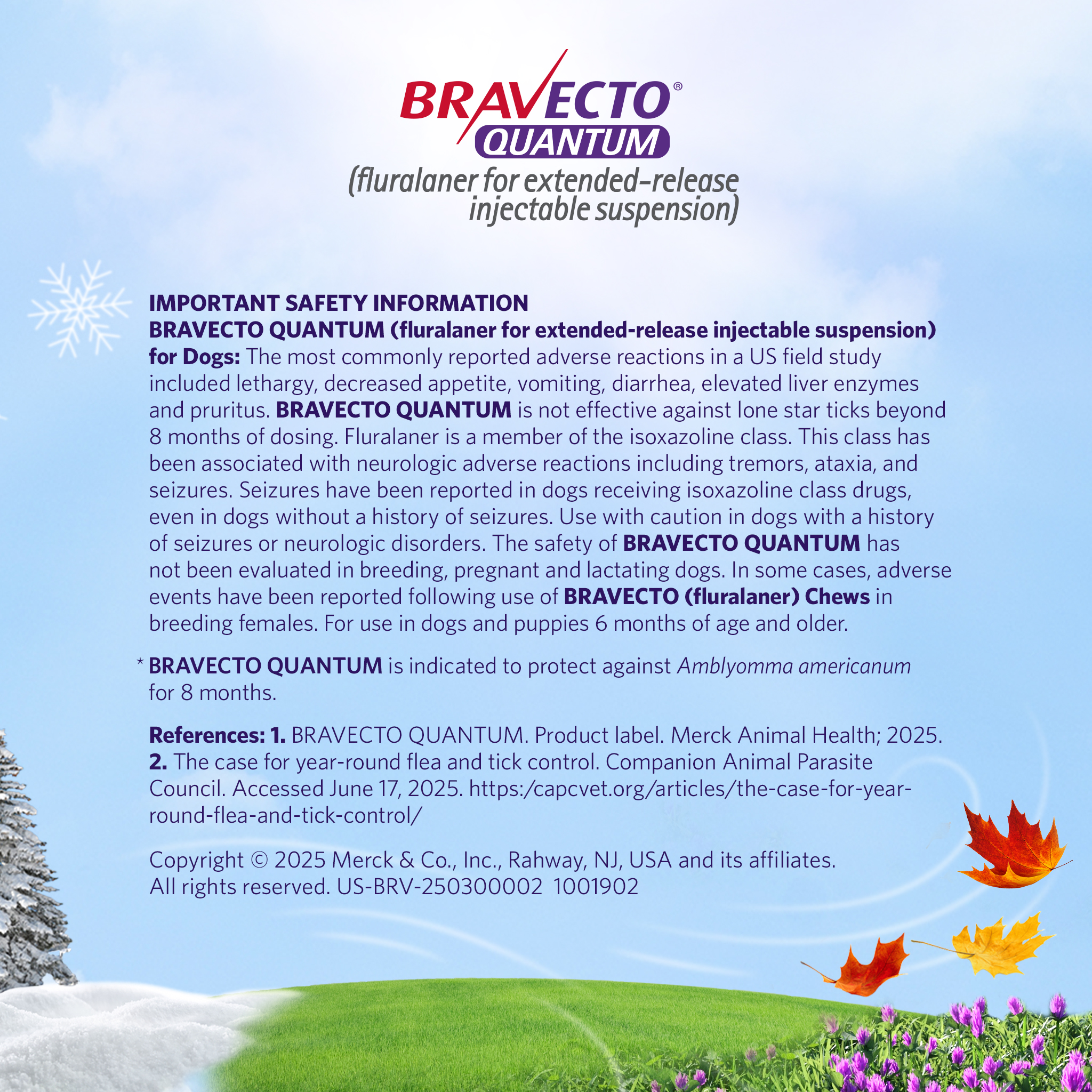 Port St. John Veterinary Hospital