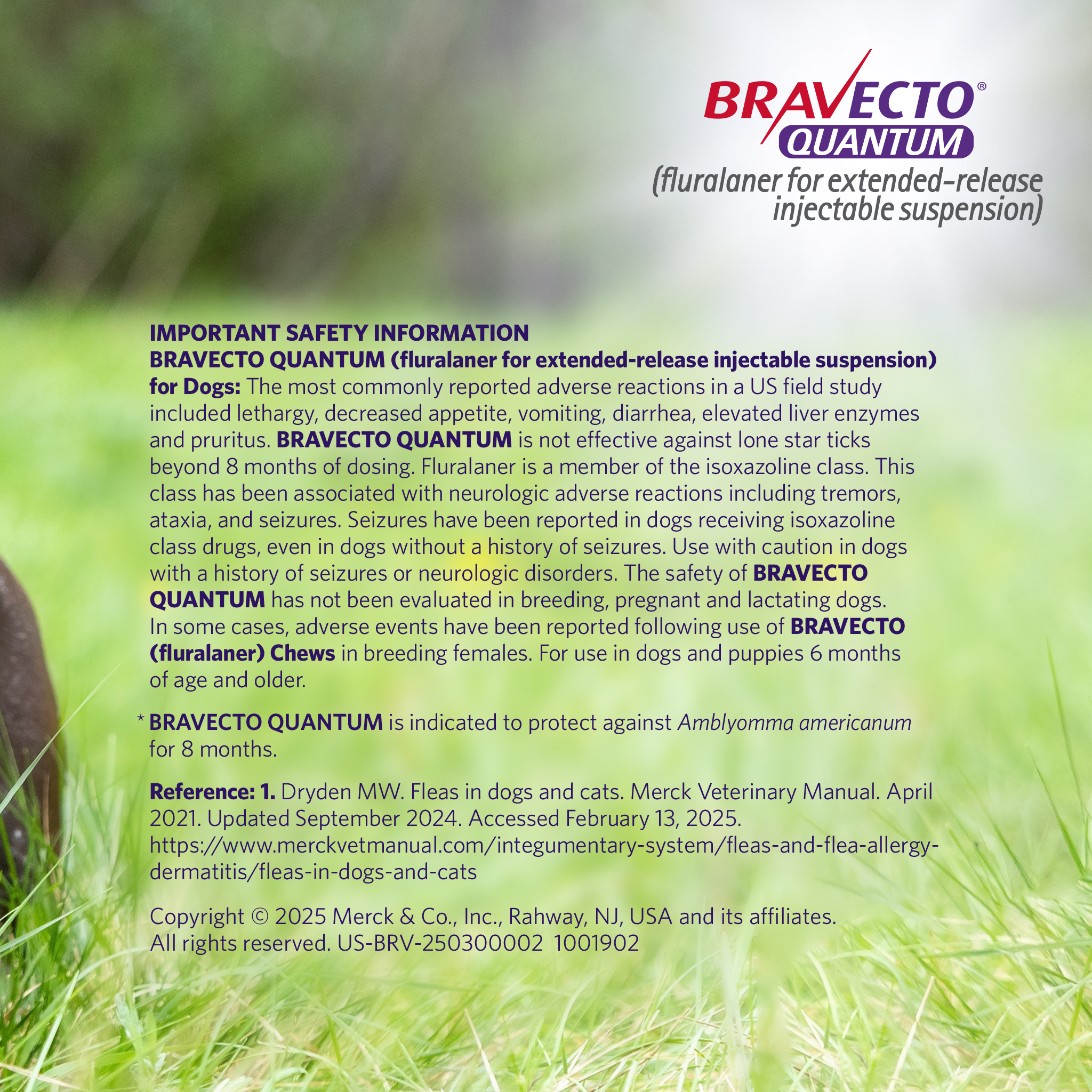 Port St. John Veterinary Hospital