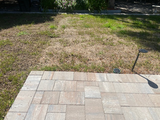 Photo credit: bestprosintown