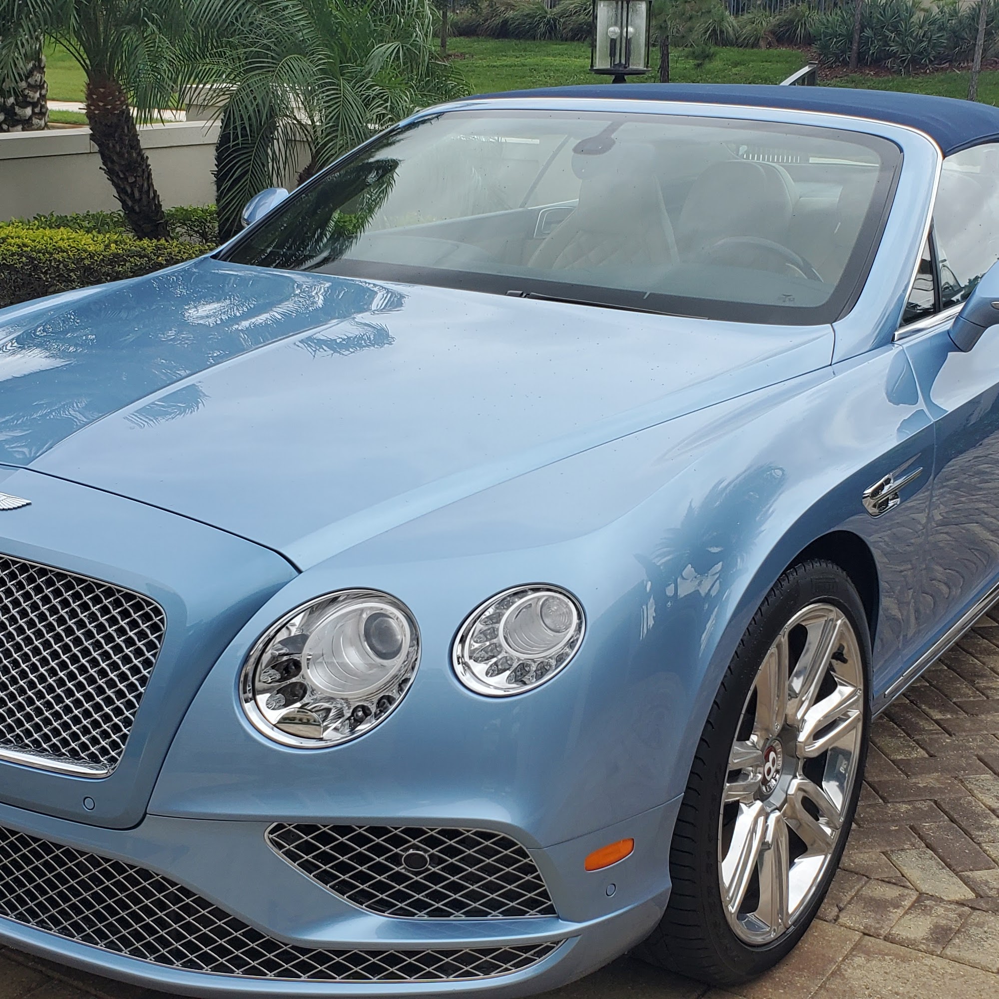 A-Absolute Mobile Auto Detailing