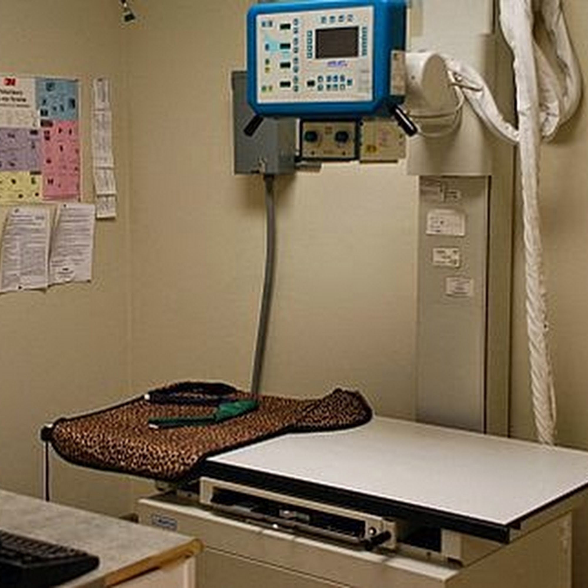 Lake Area Animal Hospital Melrose