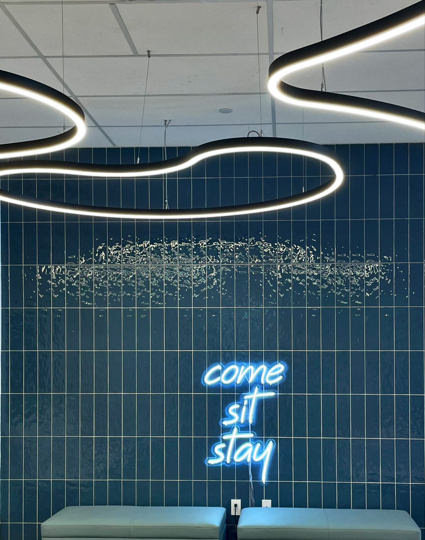 VCA Alton Road Animal Hospital Miami Beach