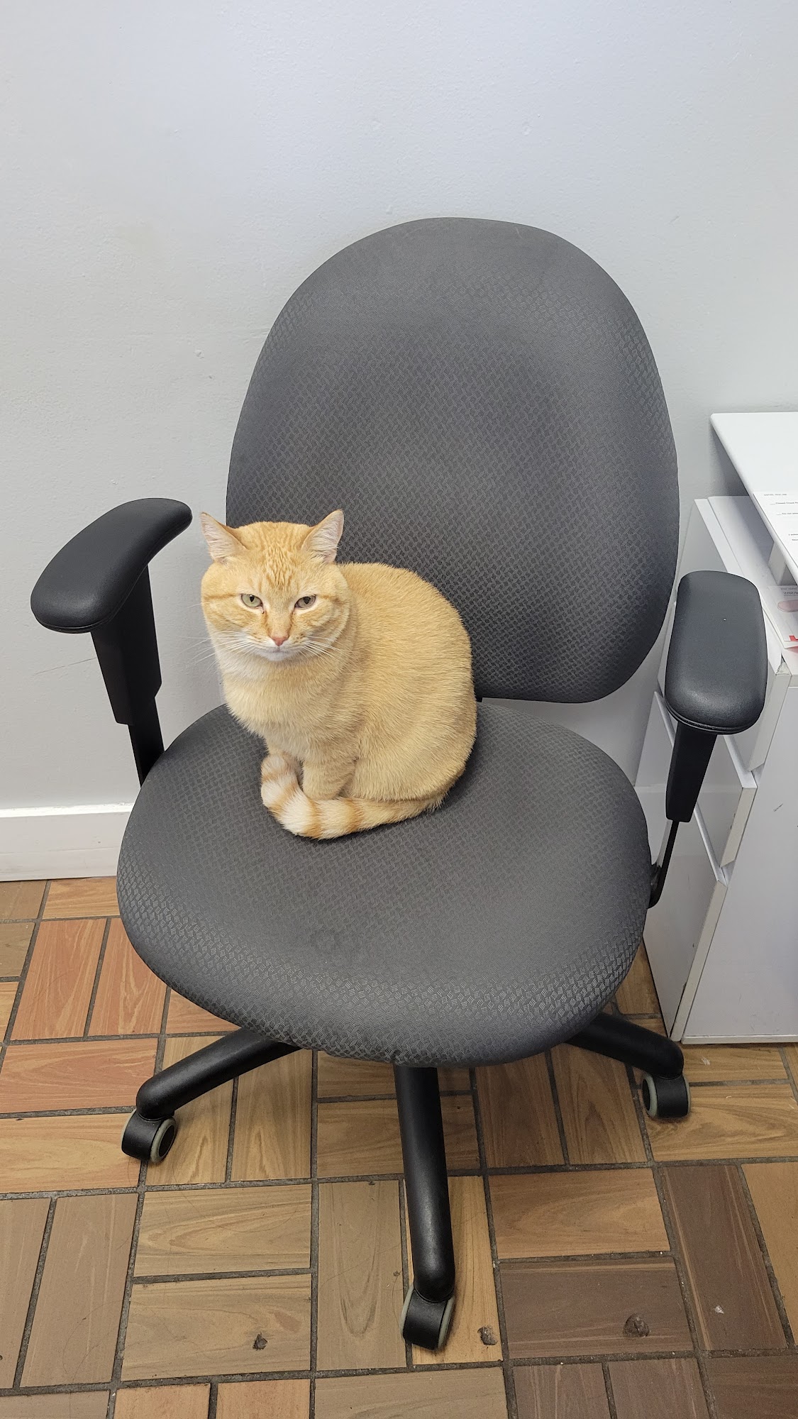 Pet House Animal Clinic Miami Beach