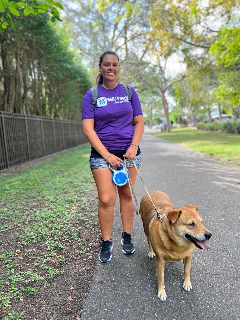 SoBe Pooch Miami Beach