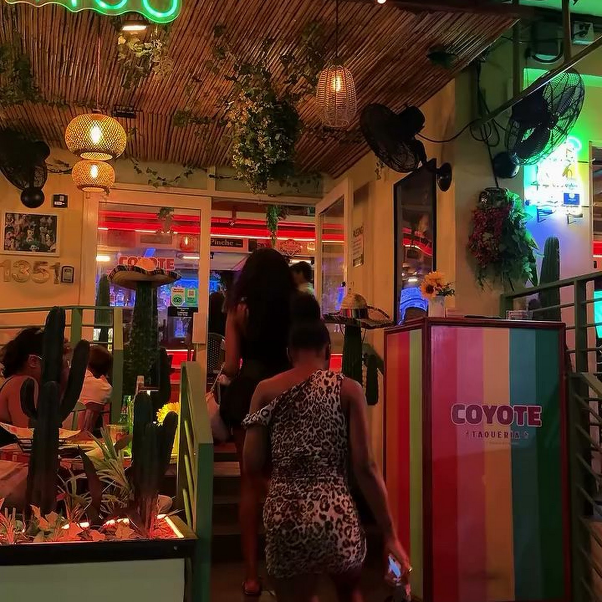 Coyote Taqueria Miami Beach